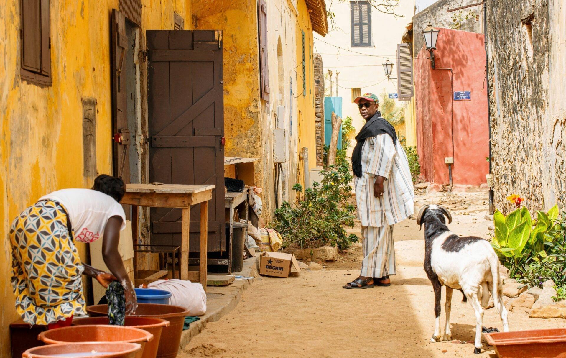 Eine enge, bunte Dorfgasse mit gelben, roten und rosafarbenen Häusern, Einheimischen und einer Ziege in authentischer Atmosphäre