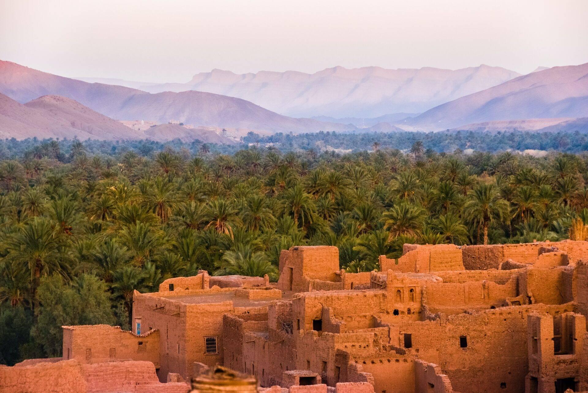 Lehmziegelkasbah mit Blick auf eine grüne Palmenoase und Gebirgskette im Hintergrund