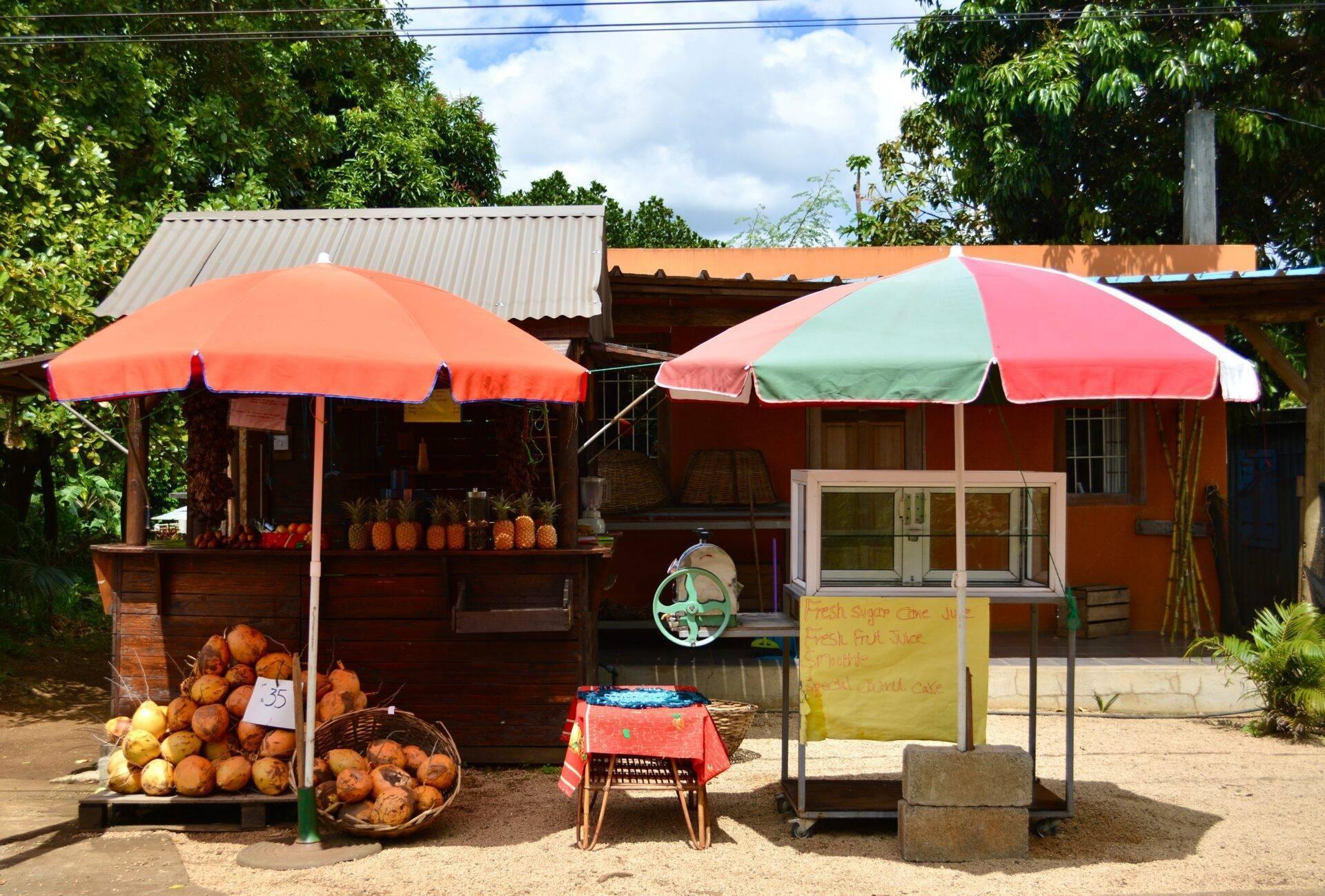 Pequeño puesto de frutas y verduras con sombrillas de colores en un entorno rural tropical mauriciano