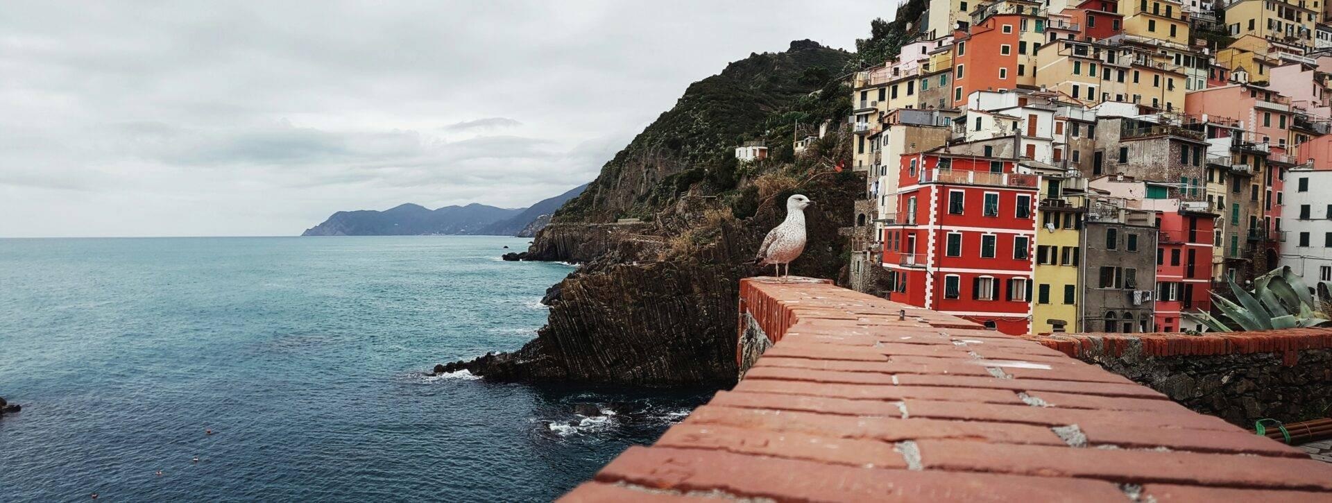 A colourful coastal village perched on a rocky cliff with a seagull on a wooden terrace overlooking the sea