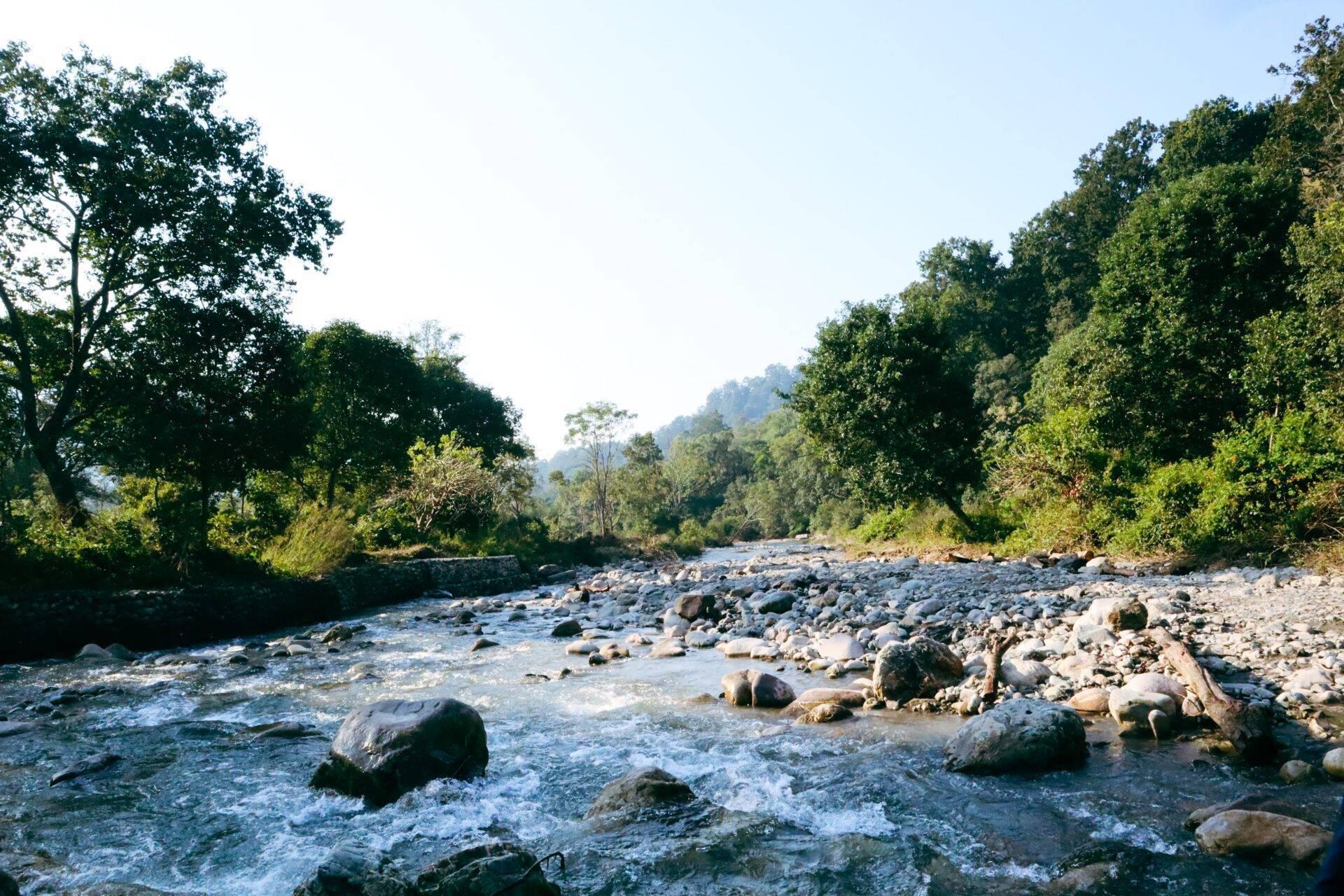 Un fiume roccioso fiancheggiato da fitte foreste tropicali sotto un cielo sereno in una regione montuosa