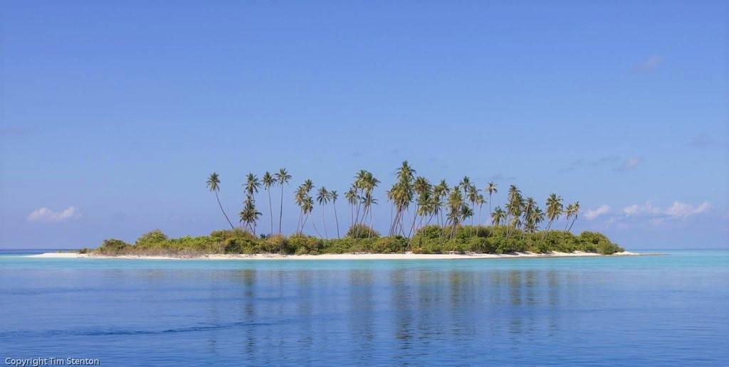 Una piccola isola tropicale con palme e vegetazione lussureggiante circondata da acqua turchese cristallina