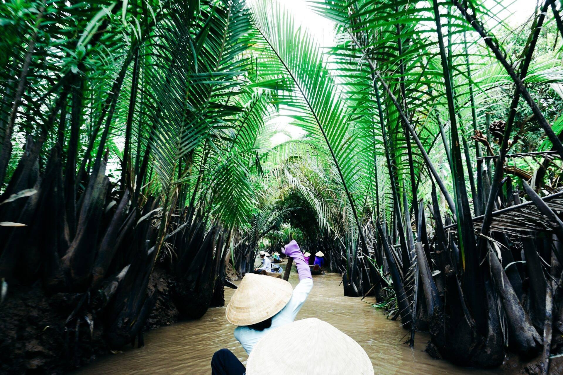 Una mujer en una barca navega por un túnel de manglares exuberantes en Vietnam, rodeada de vegetación densa y verde