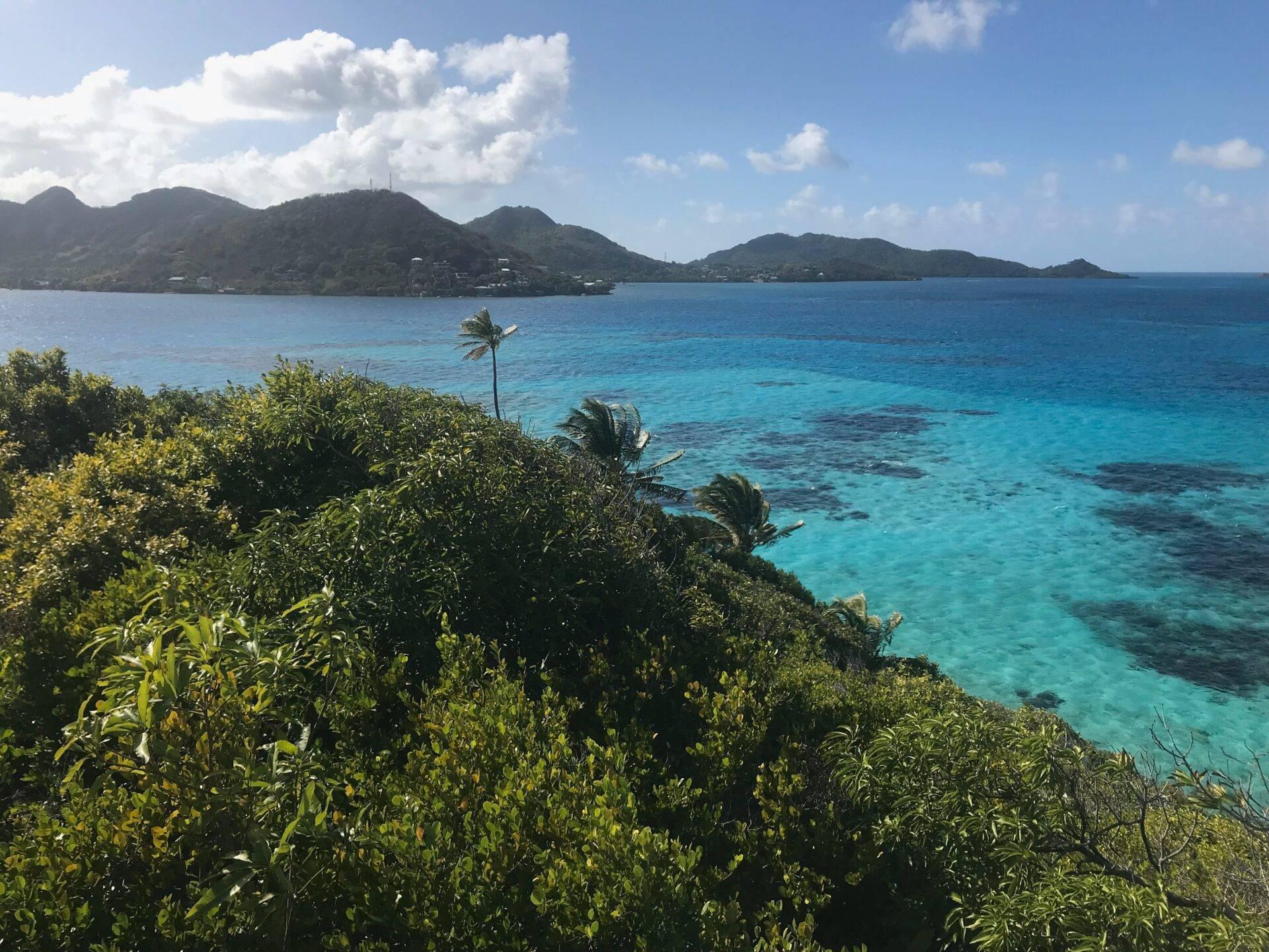 Vista costera tropical con exuberante vegetación en primer plano, islas boscosas y aguas turquesas en un día soleado
