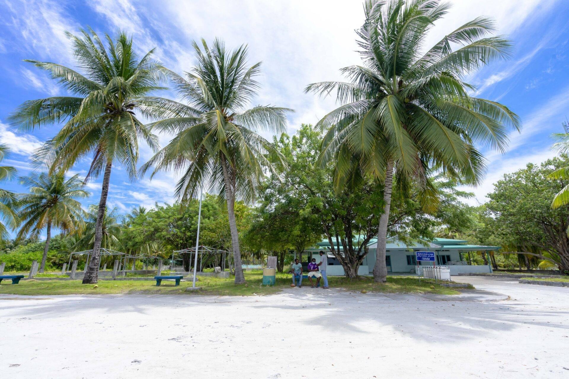 Ein weißer Sandstrand gesäumt von Palmen mit Gebäuden und Menschen unter sonnigem blauem Himmel