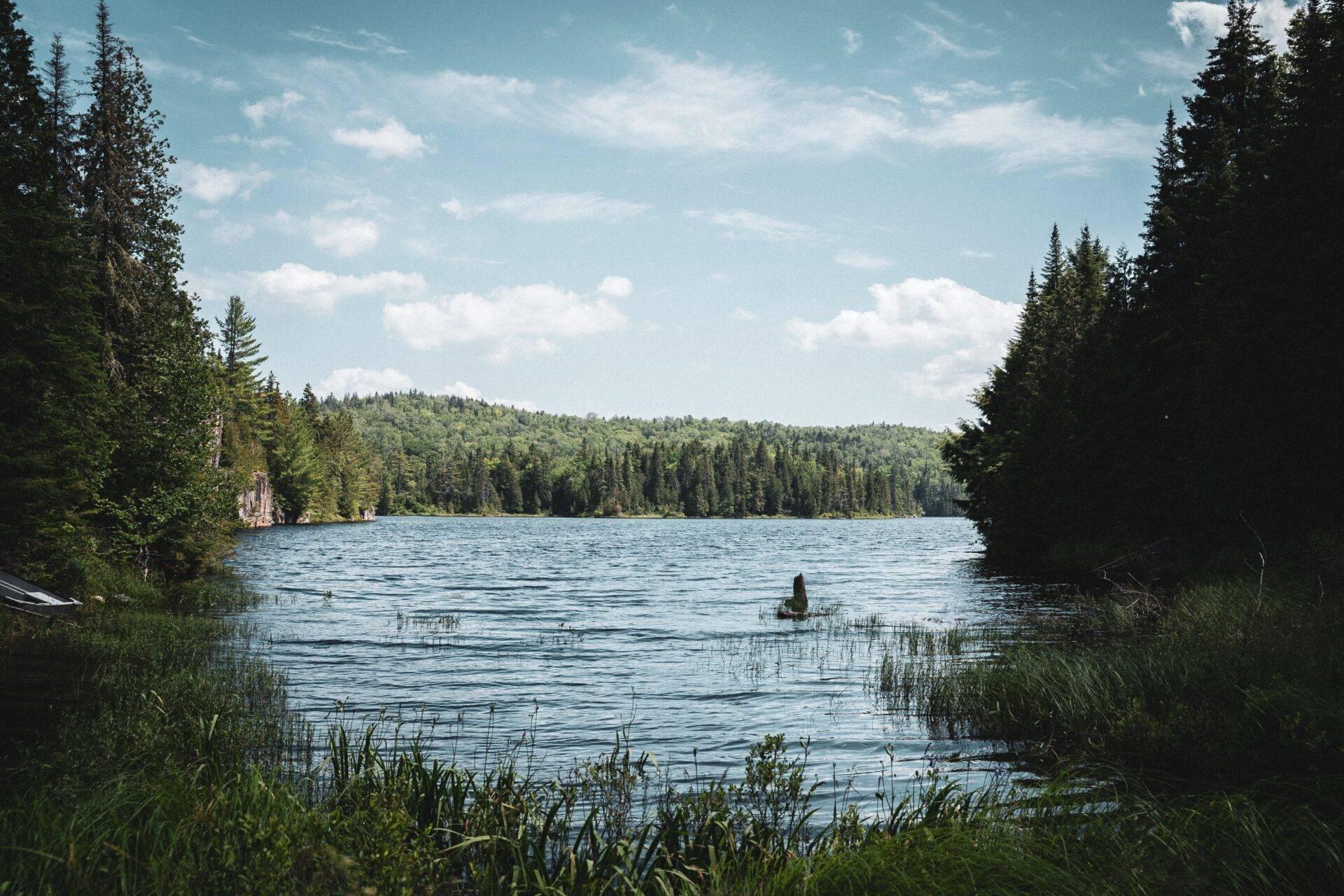 Panoramablick auf einen von Nadelbäumen umgebenen Waldsee mit einem Kanu unter klarem Himmel
