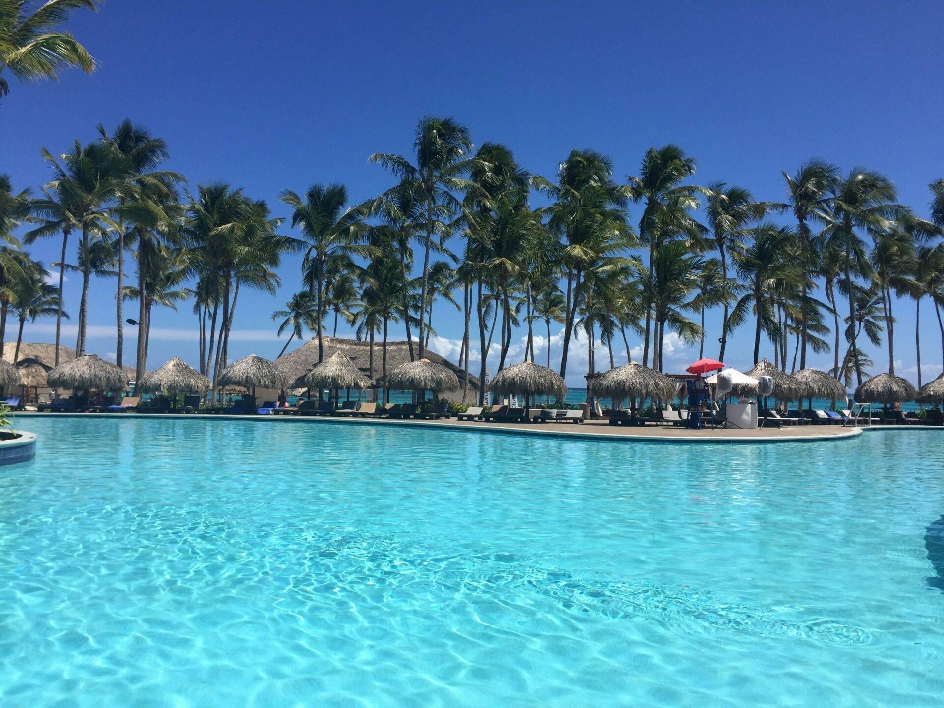 White-sand beach lined with palm trees and turquoise sea at Punta Cana, Dominican Republic