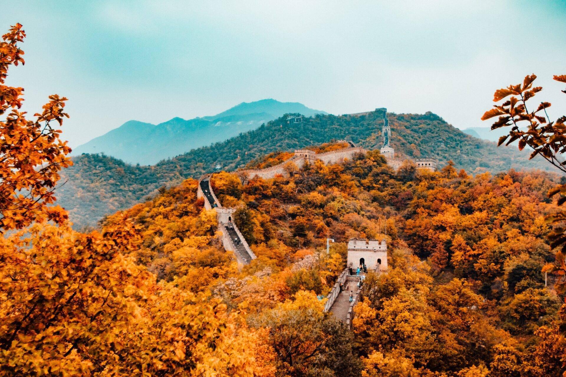 La Grande Muraglia cinese che serpeggia tra montagne boscose dalle calde tonalità autunnali dorate