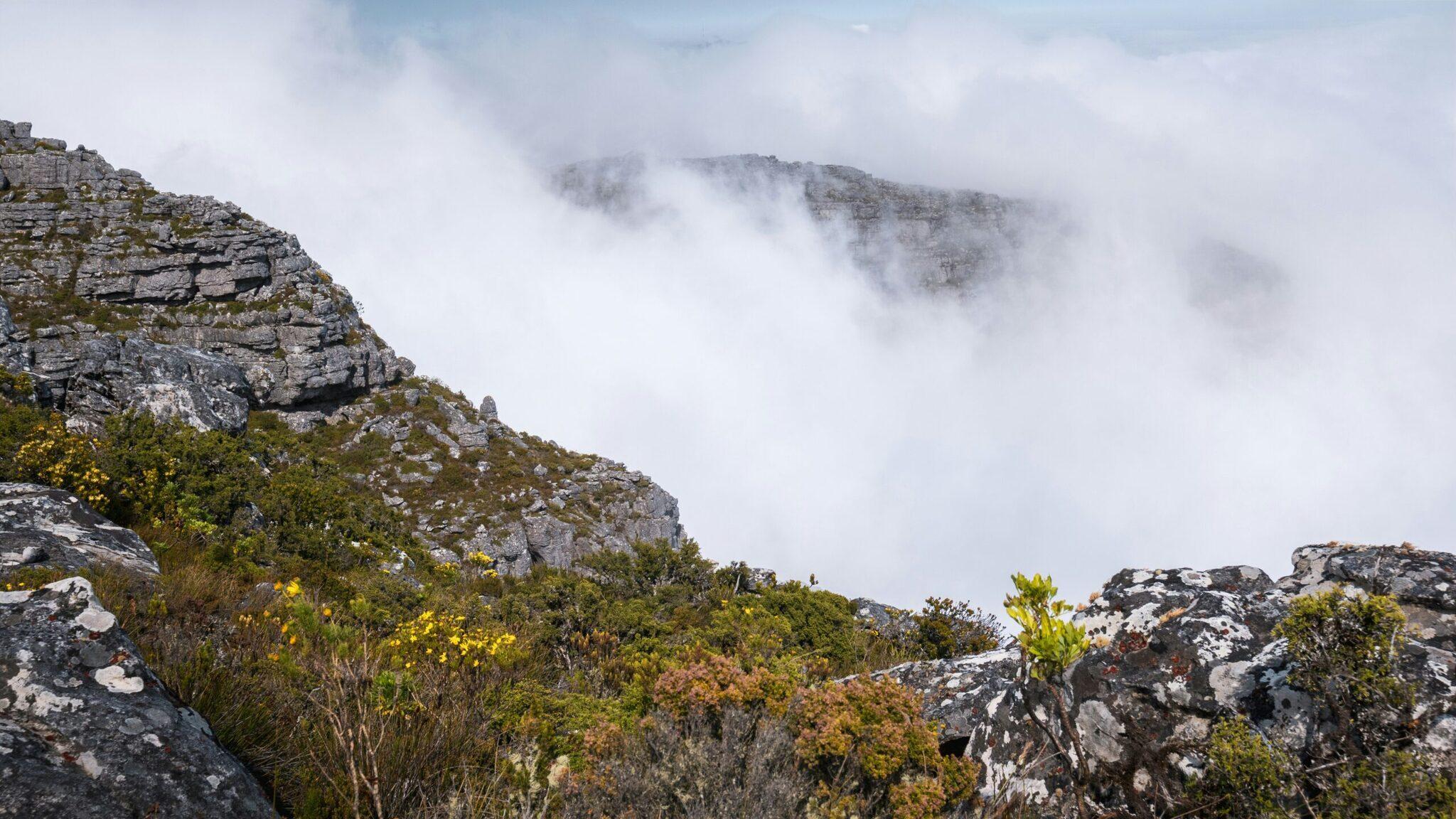 Paesaggio montagnoso roccioso con vegetazione fynbos e picchi avvolti da fitti banchi di nebbia bianca