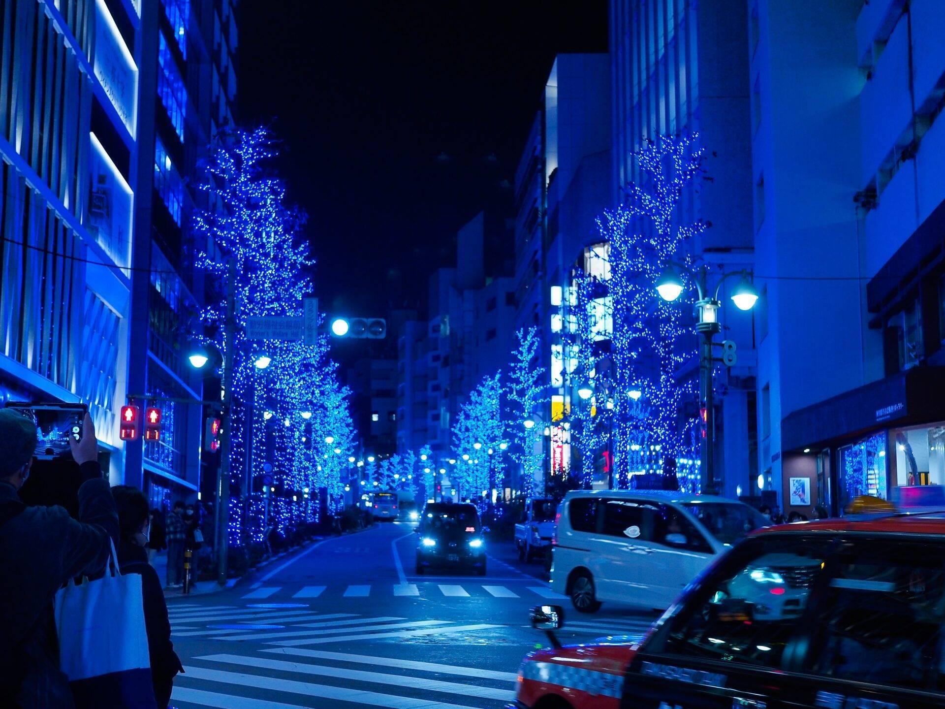 Calle urbana iluminada de noche con árboles decorados con miles de pequeñas luces azules y blancas