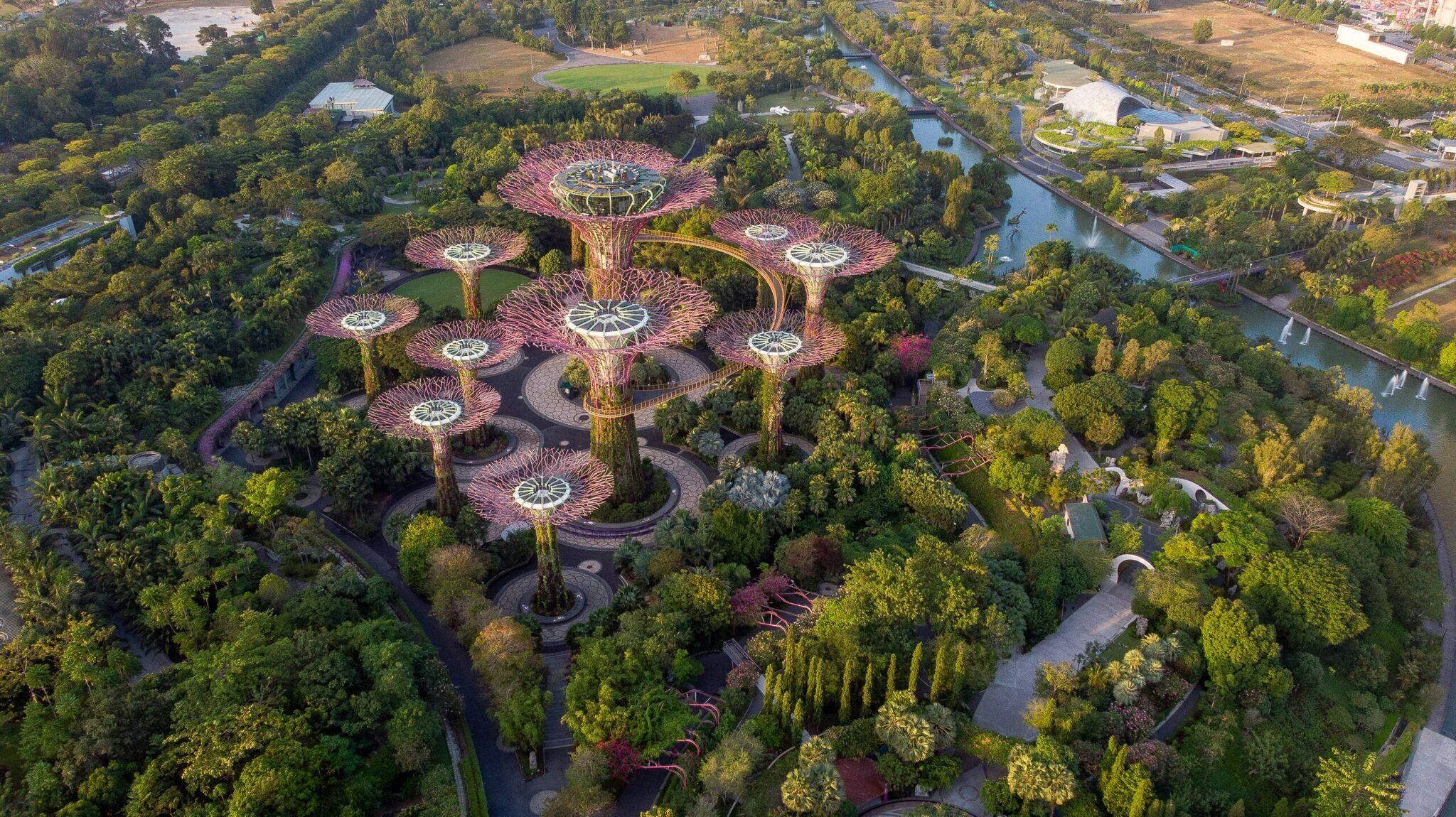 Vista aerea dei Supertrees illuminati ai Gardens by the Bay circondati da verde e specchi d’acqua