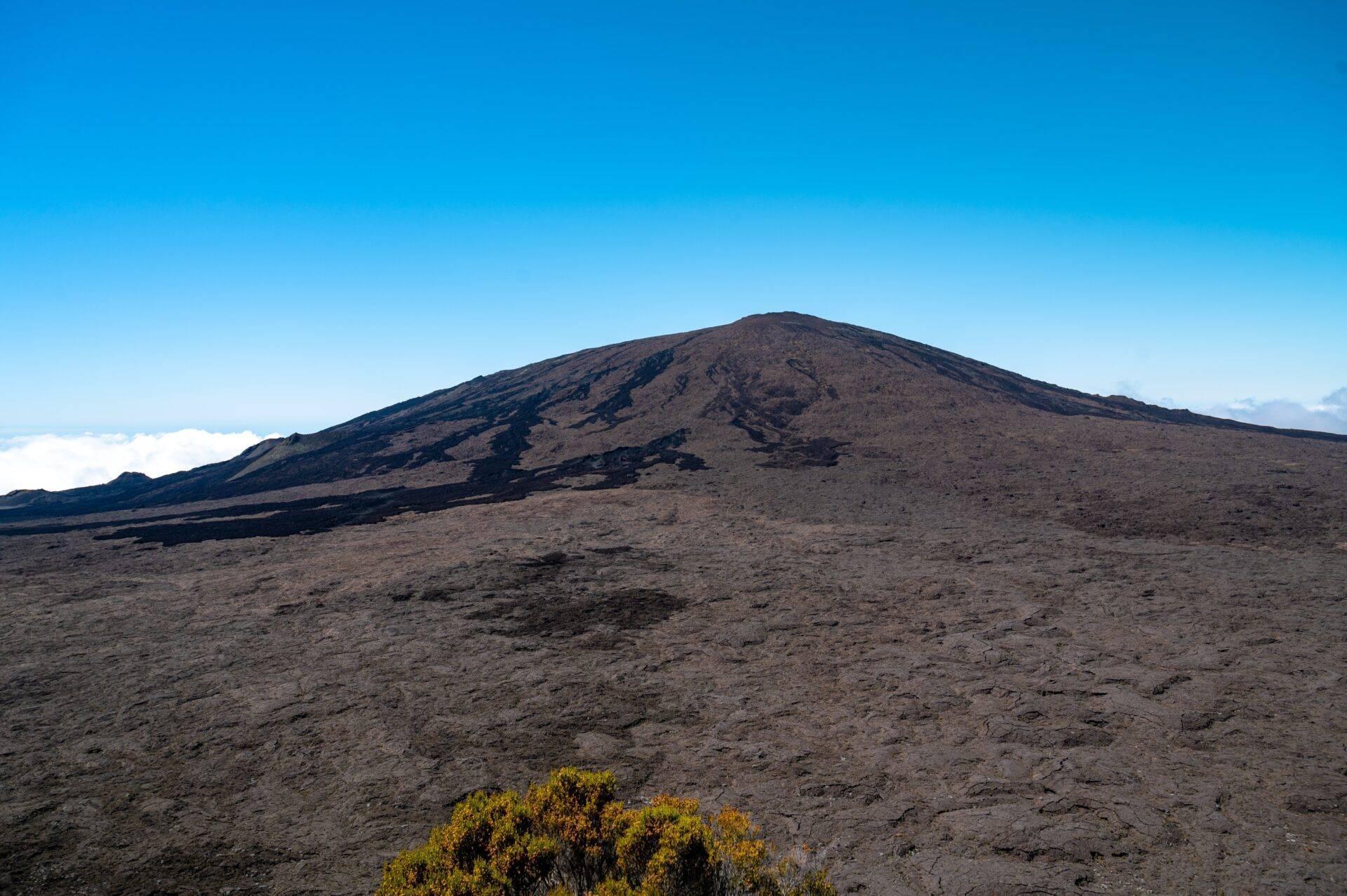 Cono volcánico de laderas oscuras y rocosas bajo un cielo azul despejado con vegetación amarilla en primer plano