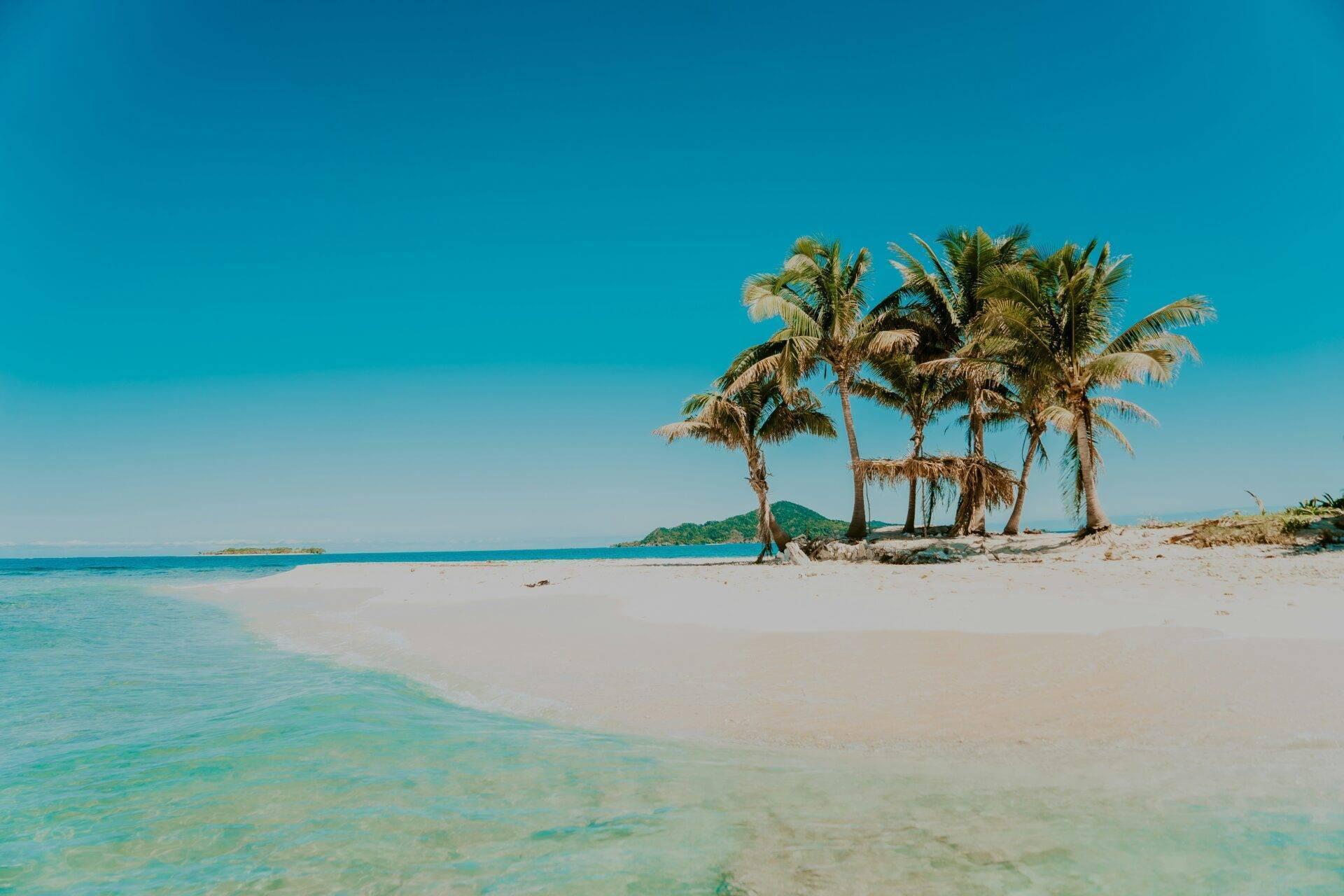 Una spiaggia di sabbia bianca con palme e acque turchesi cristalline sotto un cielo azzurro terso
