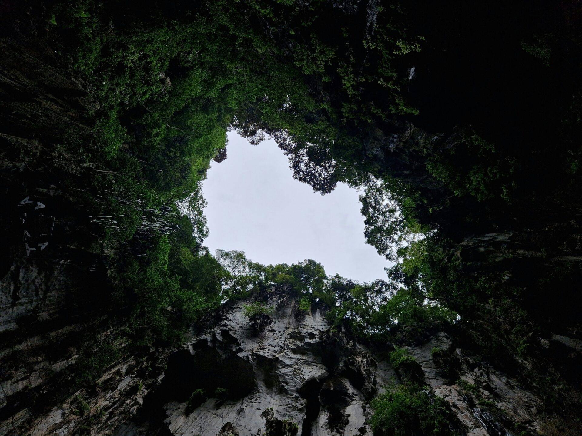 Vista desde el fondo de un barranco rocoso cubierto de exuberante vegetación mirando hacia el cielo