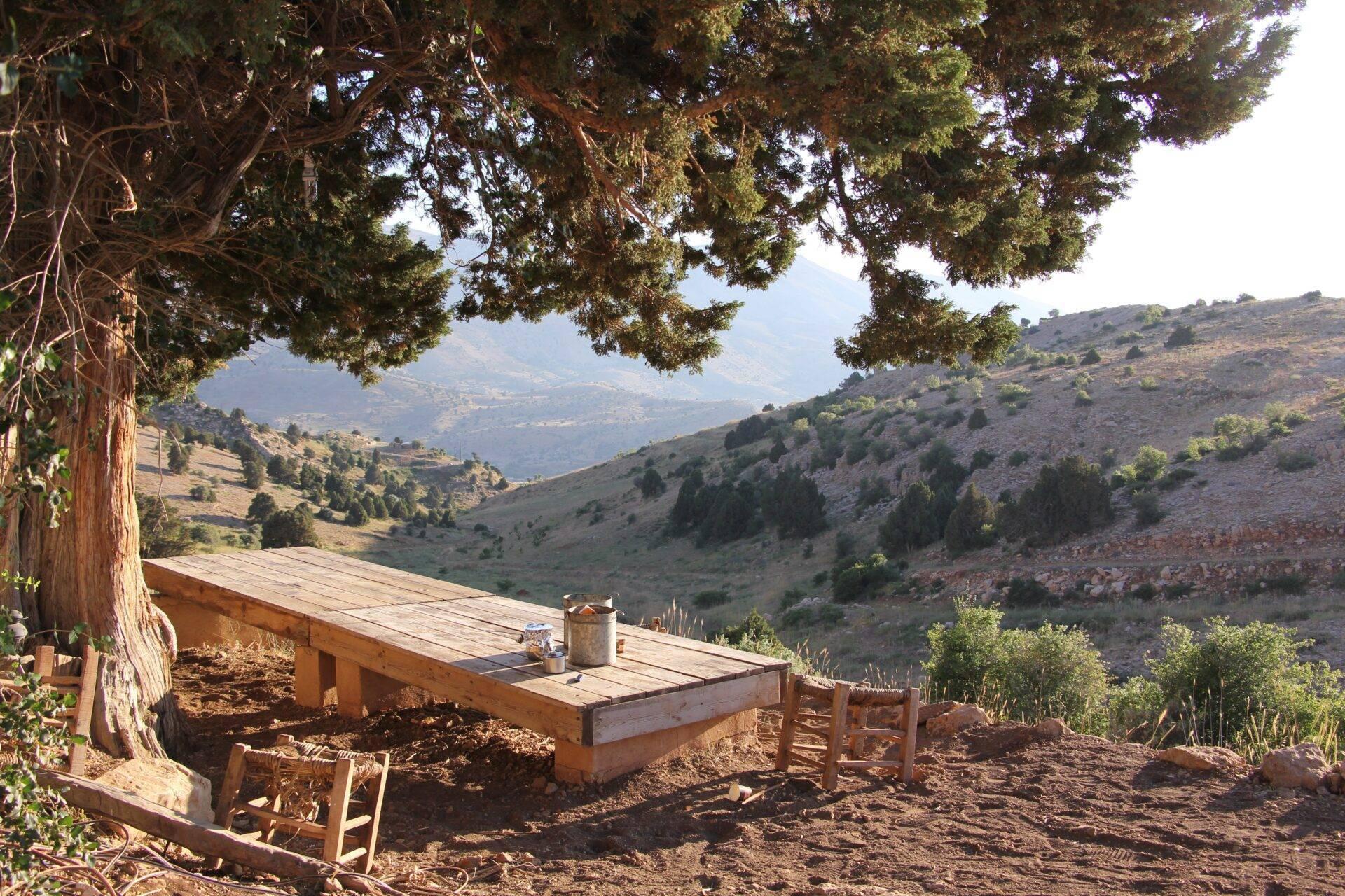 Un banco de madera frente a un valle montañoso mediterráneo, bajo el follaje de un gran cedro