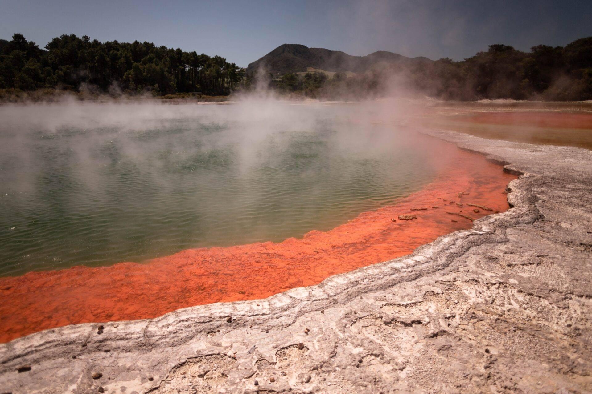Vasca geotermica dalle acque colorate turchese e arancione con vapori, circondata da depositi minerali bianchi e foreste