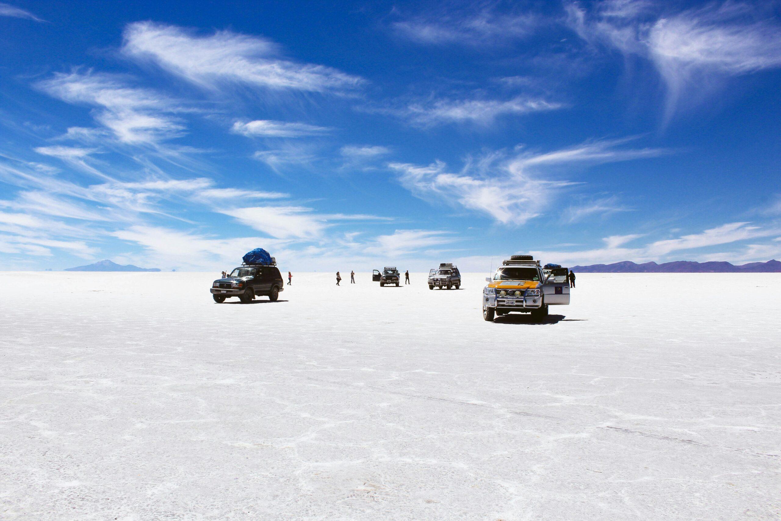 Flamingos in einer Gruppe am Rand einer farbigen Lagune des bolivianischen Altiplanos, unweit des Salar de Uyuni
