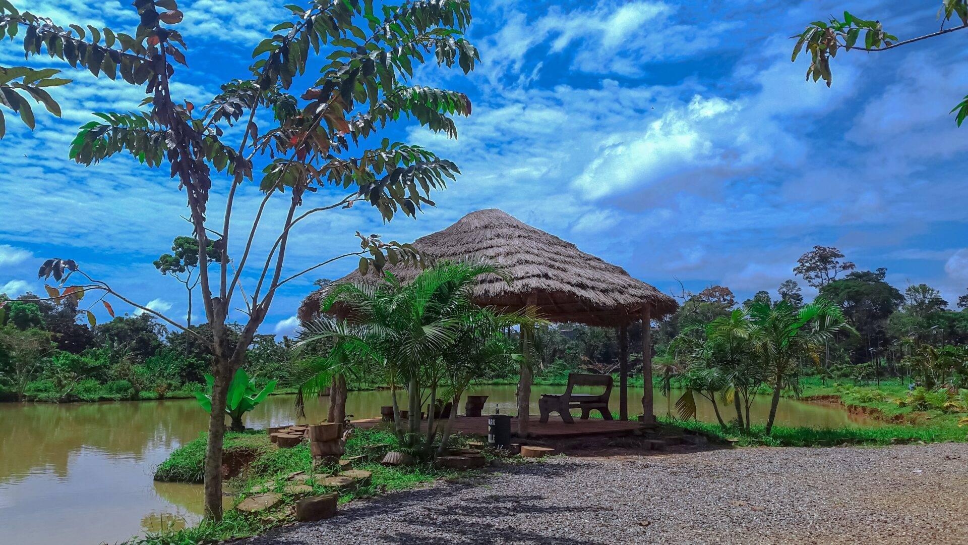 Un pabellón con techo de paja a orillas de un río en un exuberante bosque tropical bajo cielo azul