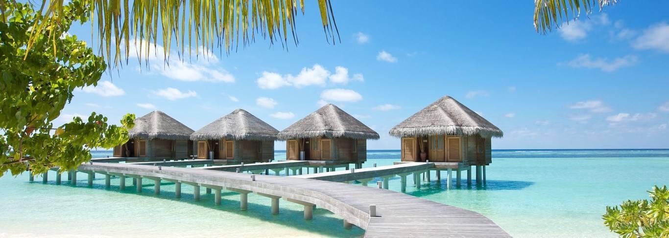 Bungalow sull’acqua con tetti di paglia allineati su un pontile in acque turchesi cristalline