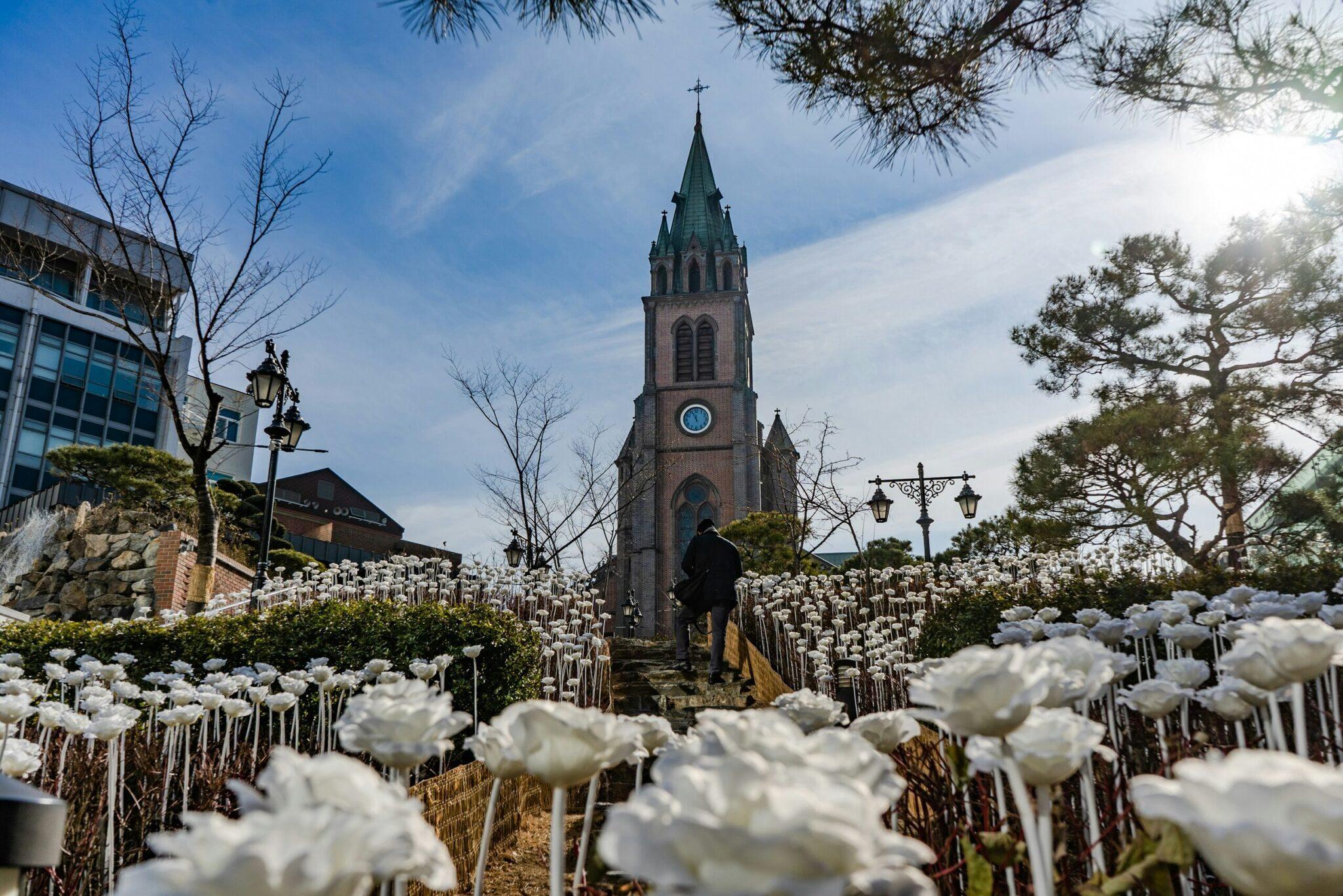 Eine Backsteinkirche mit Glockenturm, umgeben von weißen Blumen in einem städtischen Garten