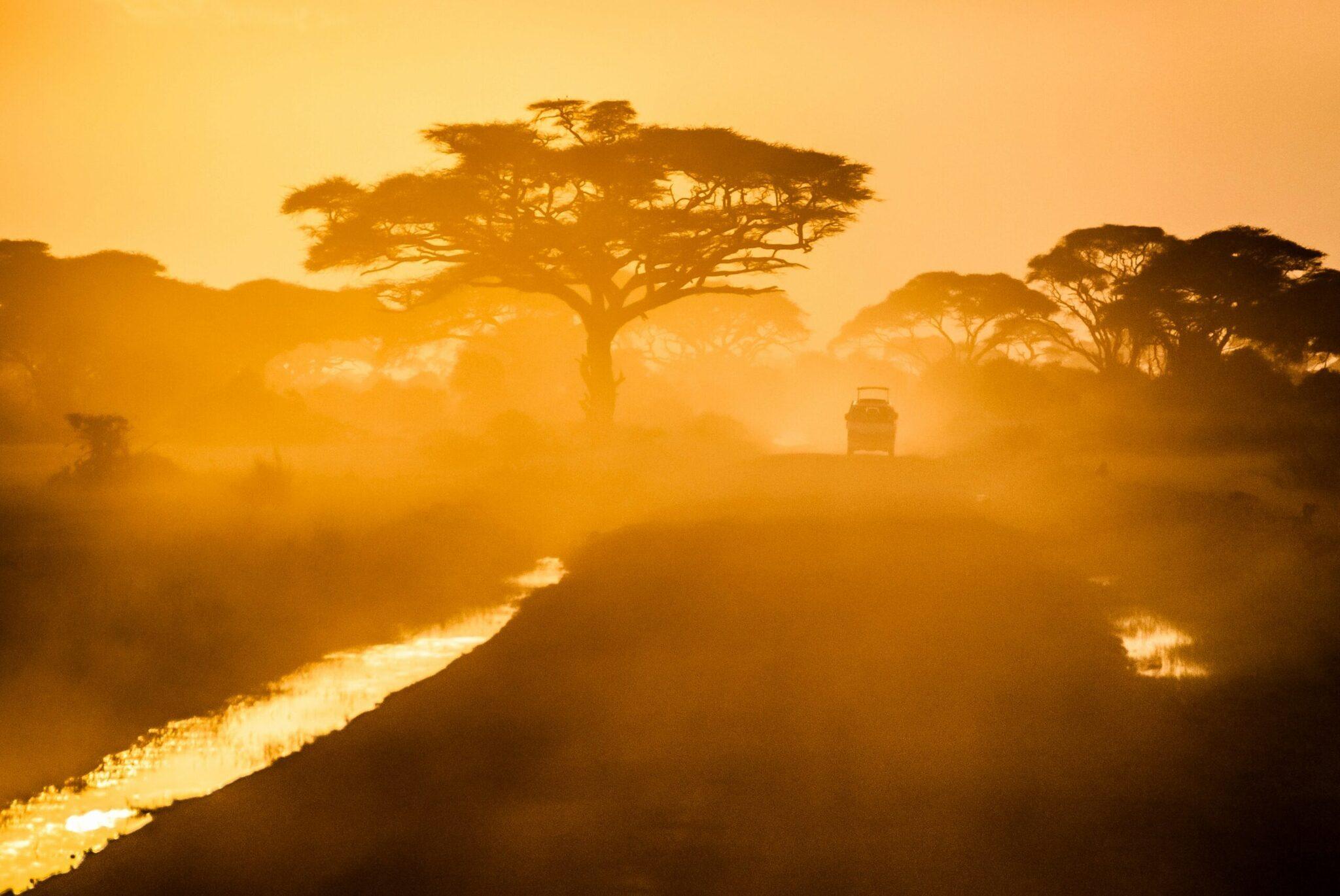 Afrikanische Savanne im Abendlicht mit charakteristischer Akazie, einem Fluss und einem Safariwagen im goldenen Dunst