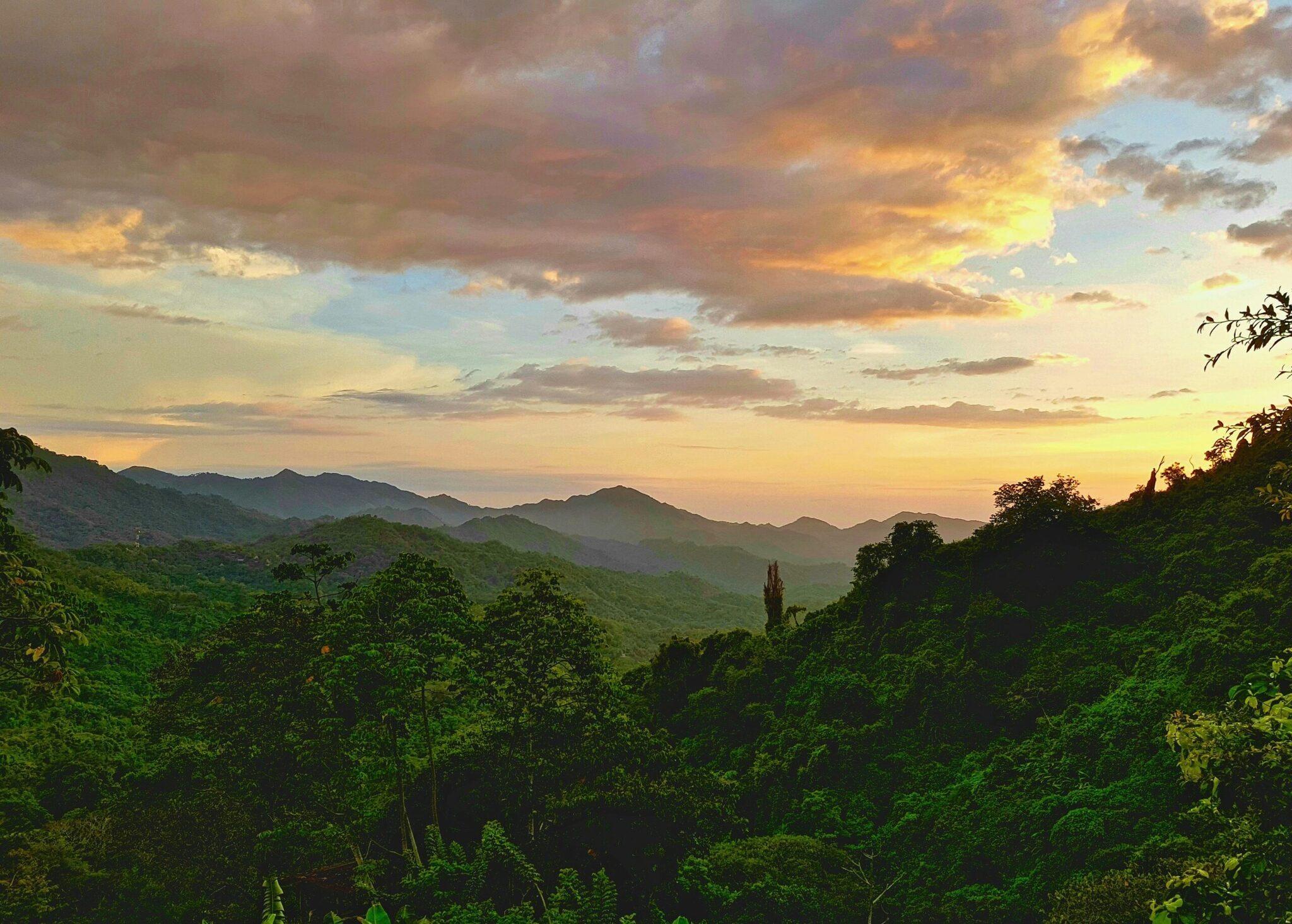 Atardecer sobre un valle montañoso densamente boscoso con un cielo dorado y nublado