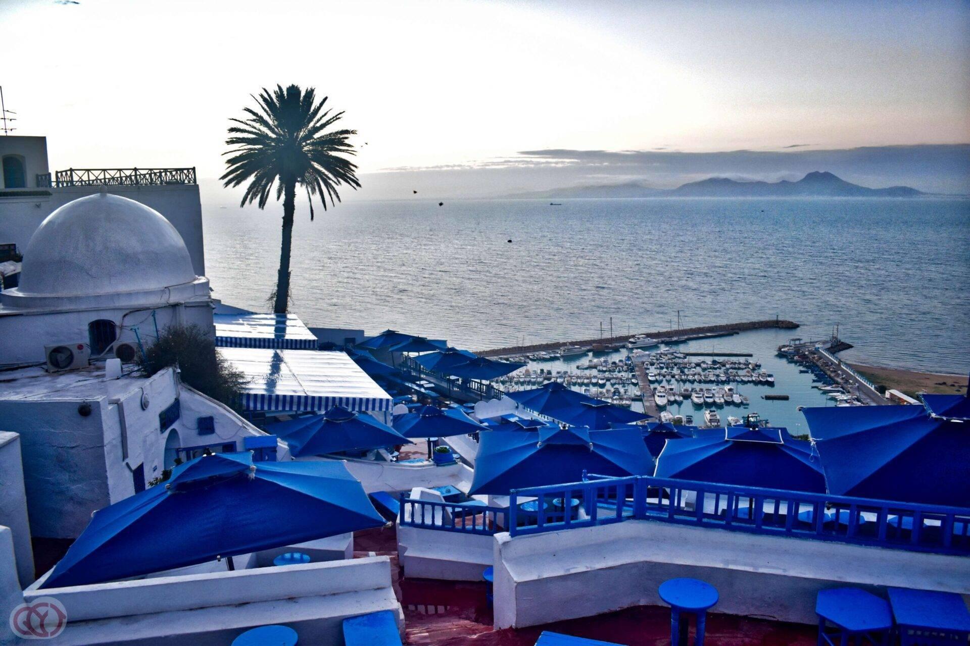 Vista aérea de una medina costera con terrazas azules y blancas, puerto pesquero y mar al fondo