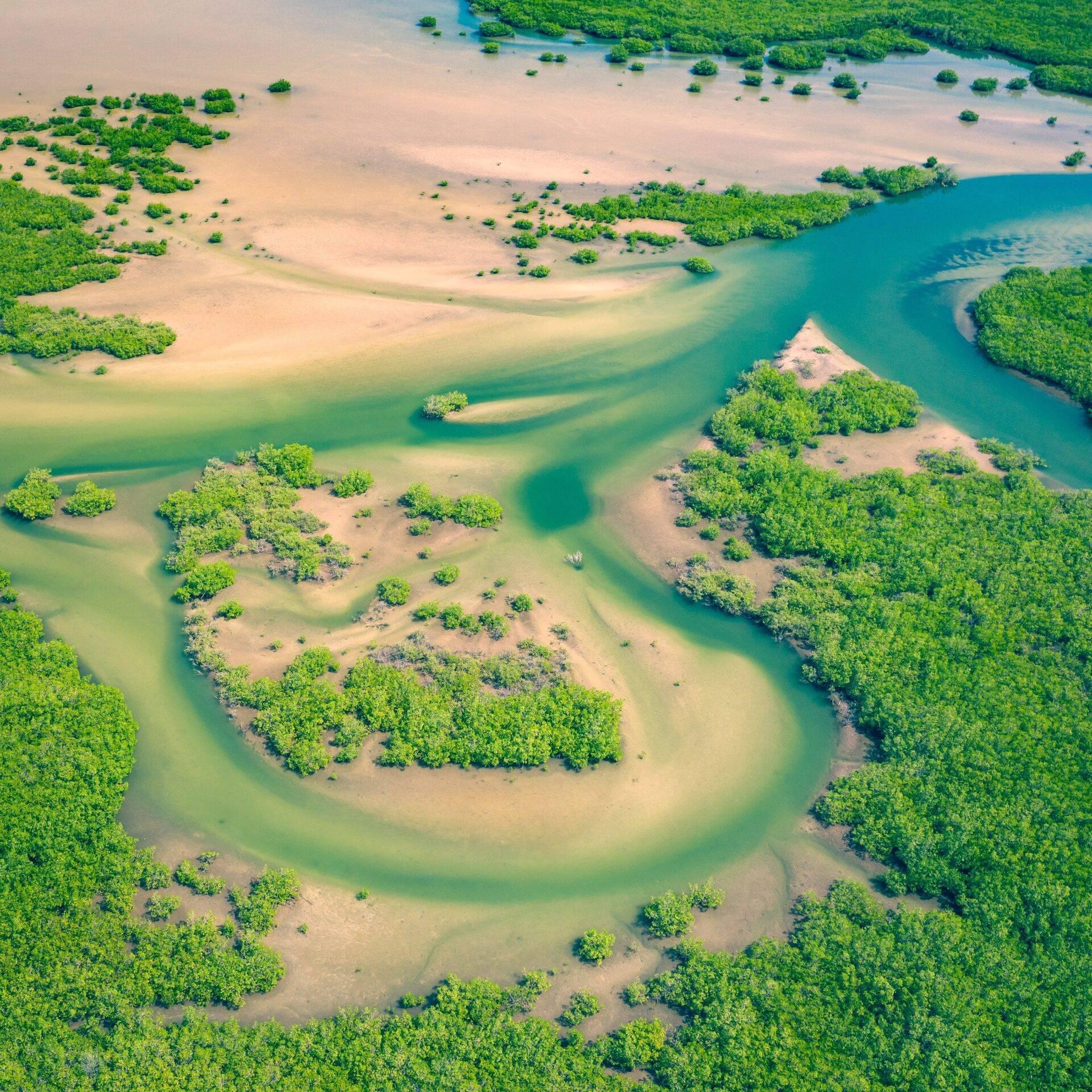 Senegal Parco nazionale di Niokolo-Koba