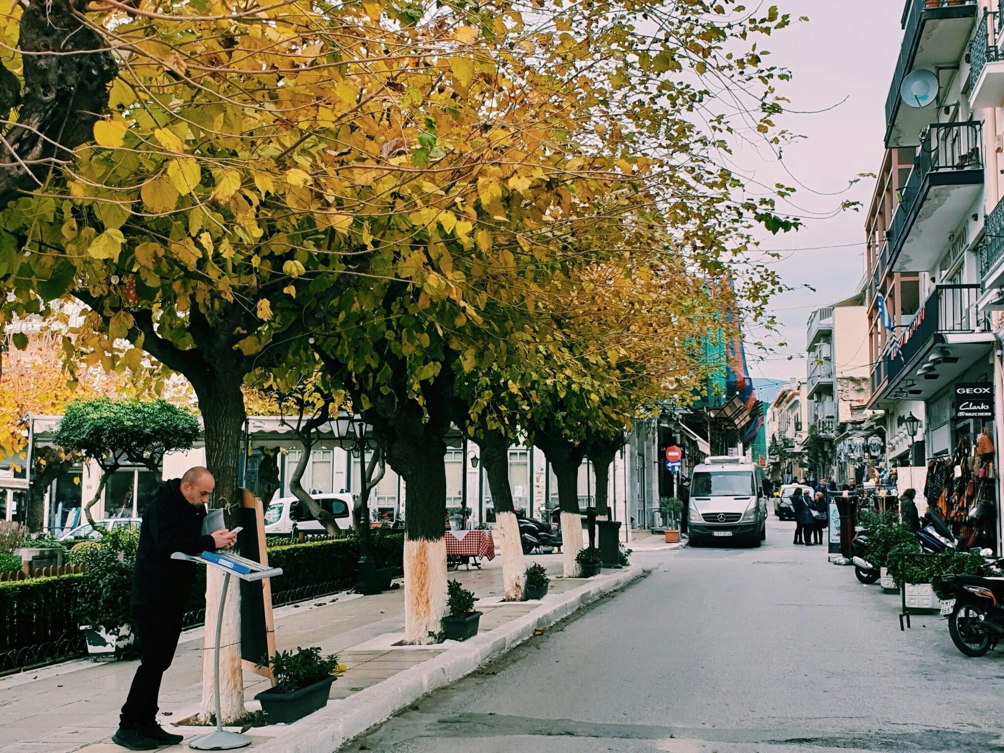 Eine schattige Fußgängerzone, gesäumt von Bäumen mit goldenen Herbstblättern, Geschäften und alten Fassaden