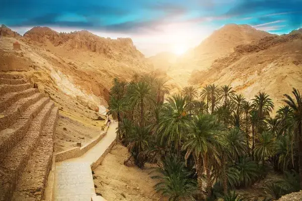 Un oasis desértico con palmeras, acequia de riego y montañas rocosas bajo un cielo despejado