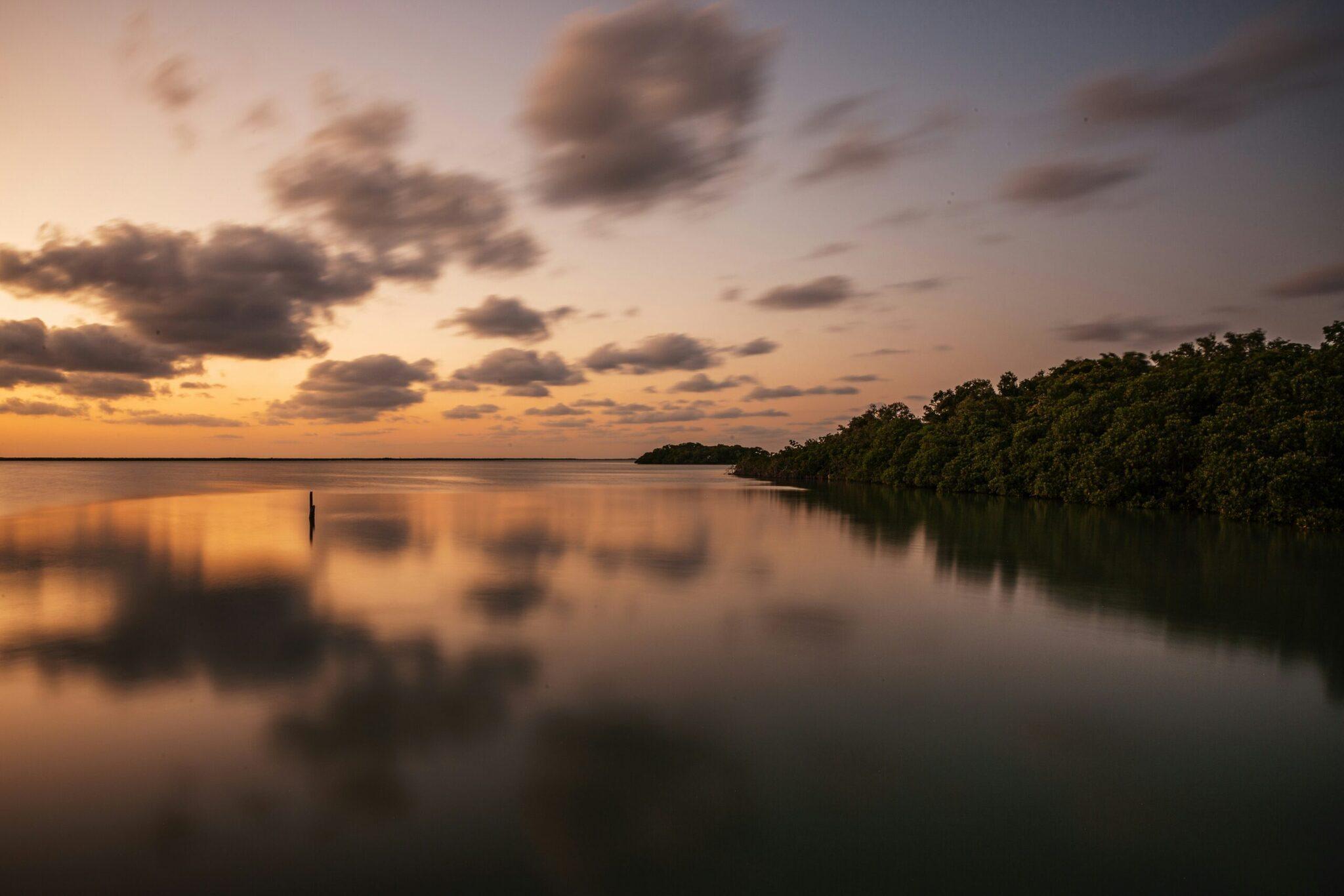 Sonnenuntergang über einer ruhigen Bucht mit dichten Mangroven, die sich im spiegelglatten Wasser spiegeln