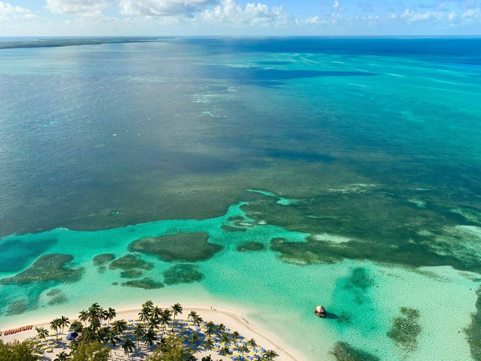Aerial view of a paradise beach with turquoise waters bordered by palm trees and wooded islets