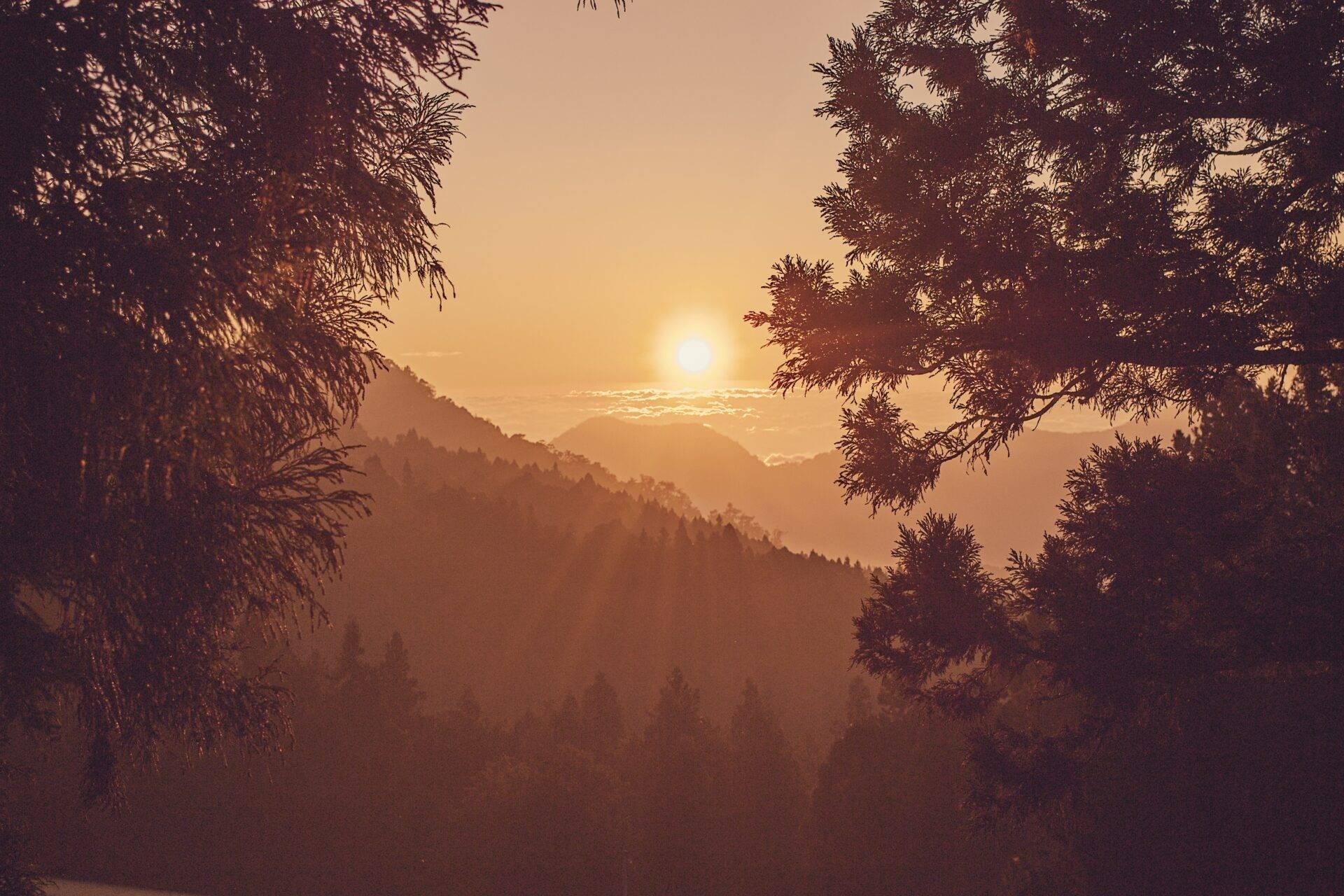 Vista panoramica di una valle montuosa densamente boscosa al tramonto con nebbia