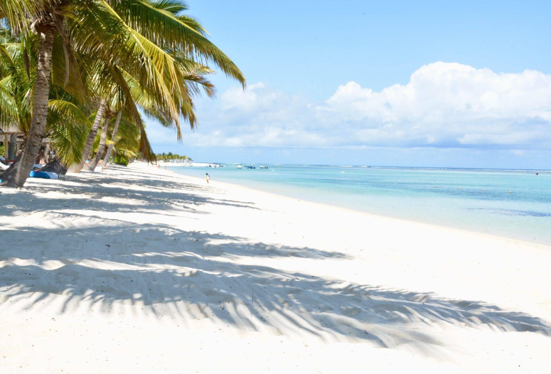 Una playa de arena blanca bordeada de palmeras con un mar turquesa en calma y barcos al fondo