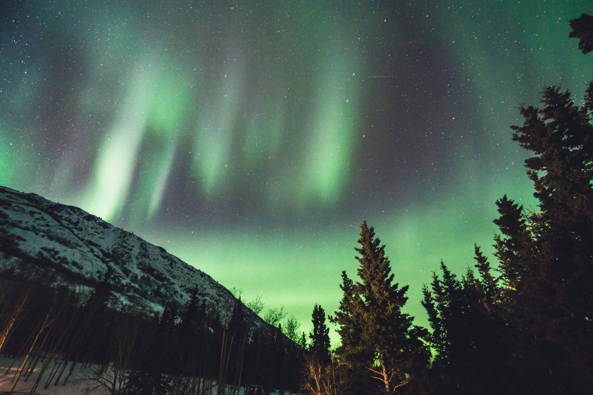 Grüne Nordlichter tanzen über einem verschneiten Nadelwald unter einem Sternenhimmel