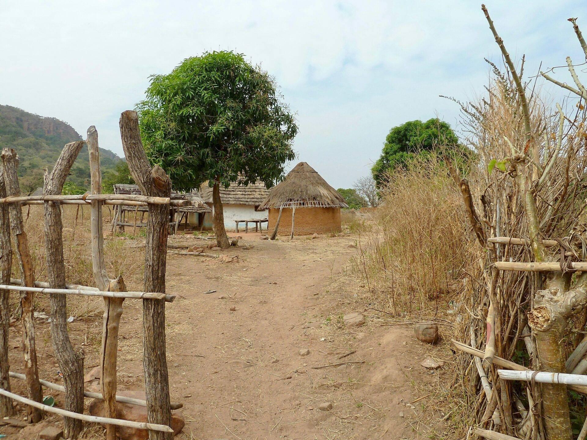 Village traditionnel africain avec cases en terre et toits de paille, entouré de clôtures en bois et de végétation