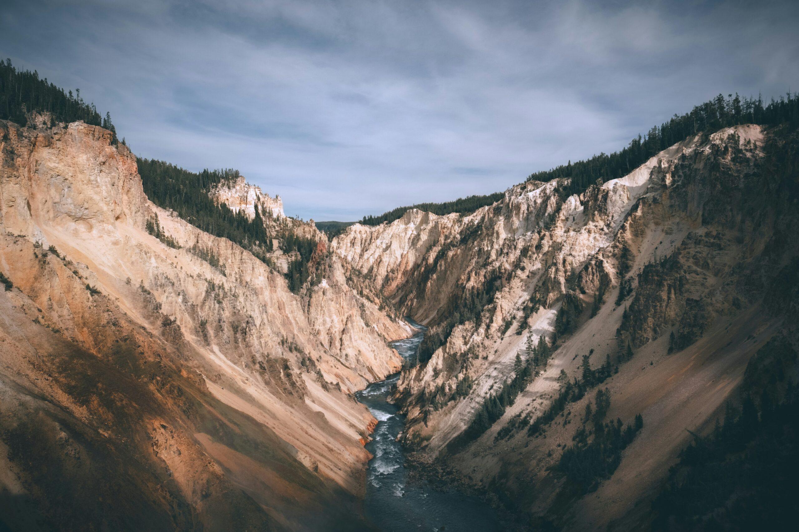 Die gelb-ockerfarbenen Felswände des Grand Canyon of the Yellowstone mit den Lower Falls im Vordergrund