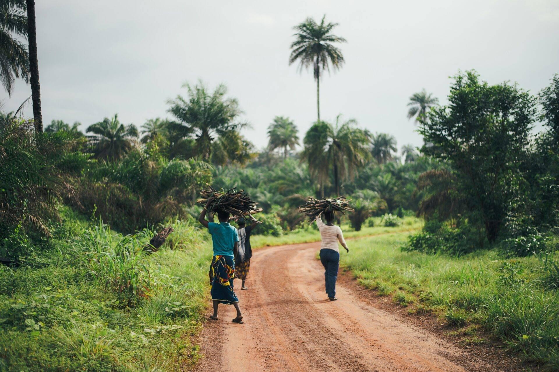 Deux femmes transportant du bois marchent sur une route de terre rouge à travers une savane tropicale avec palmiers