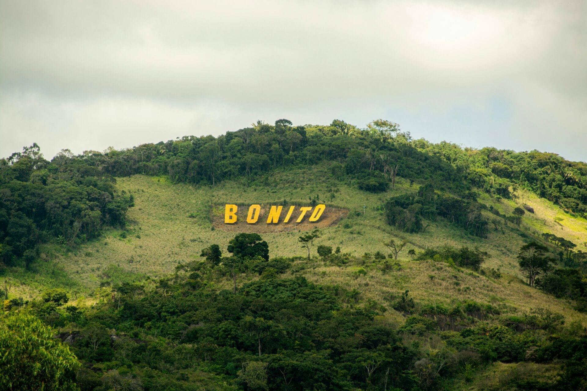 Cartello giallo “BONITO” dipinto su una collina verdeggiante ricoperta di densa foresta tropicale