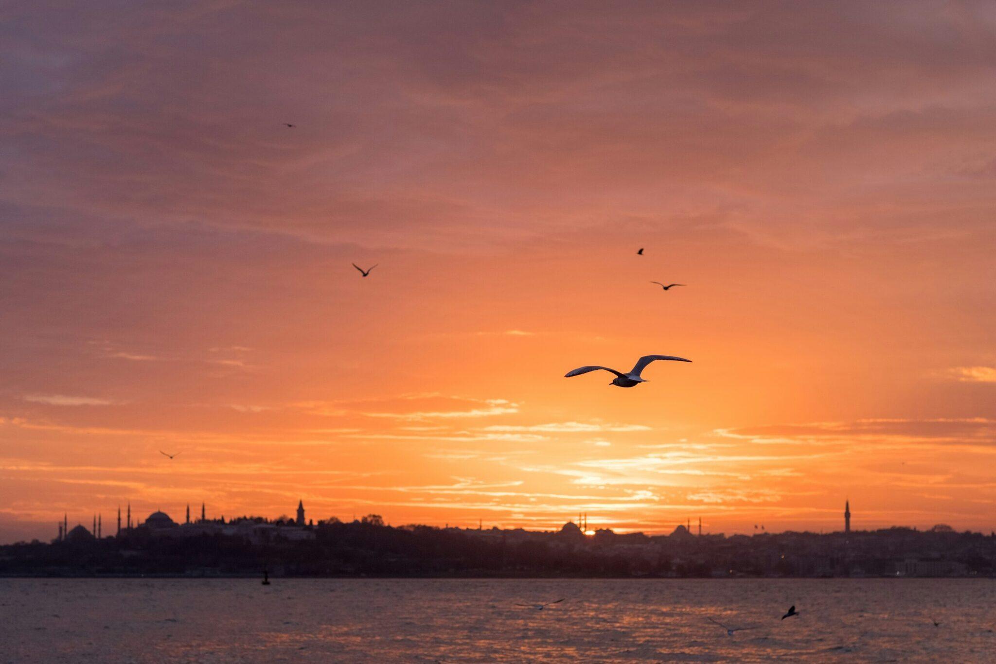 Tramonto sul Bosforo con sagome di moschee e chiese, uccelli in volo sull’acqua