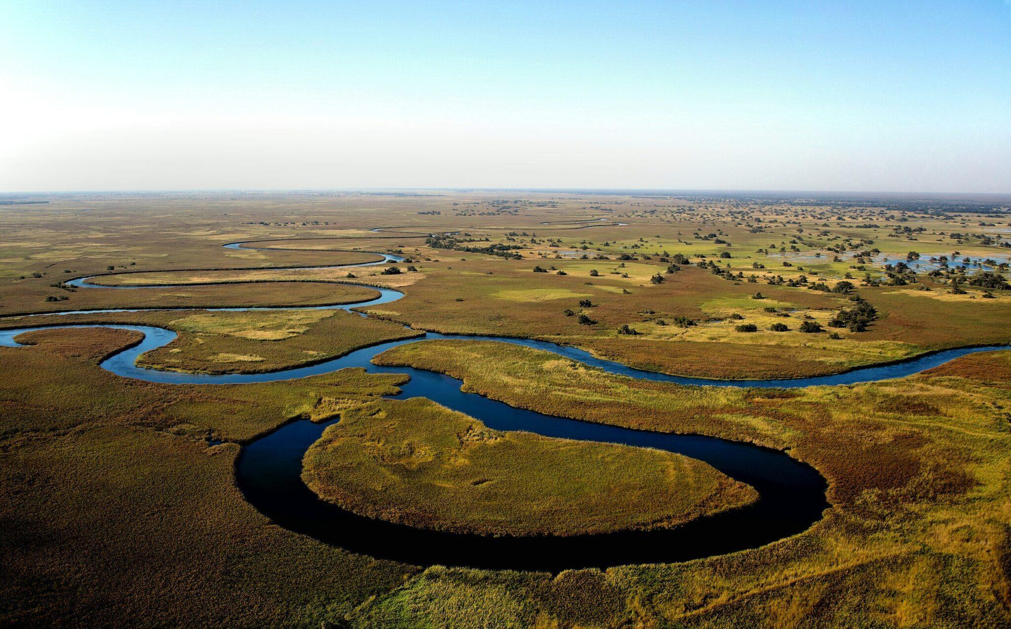 Vista aérea de una vasta llanura húmeda con río serpenteante, árboles dispersos y vegetación verdoyante bajo un cielo despejado