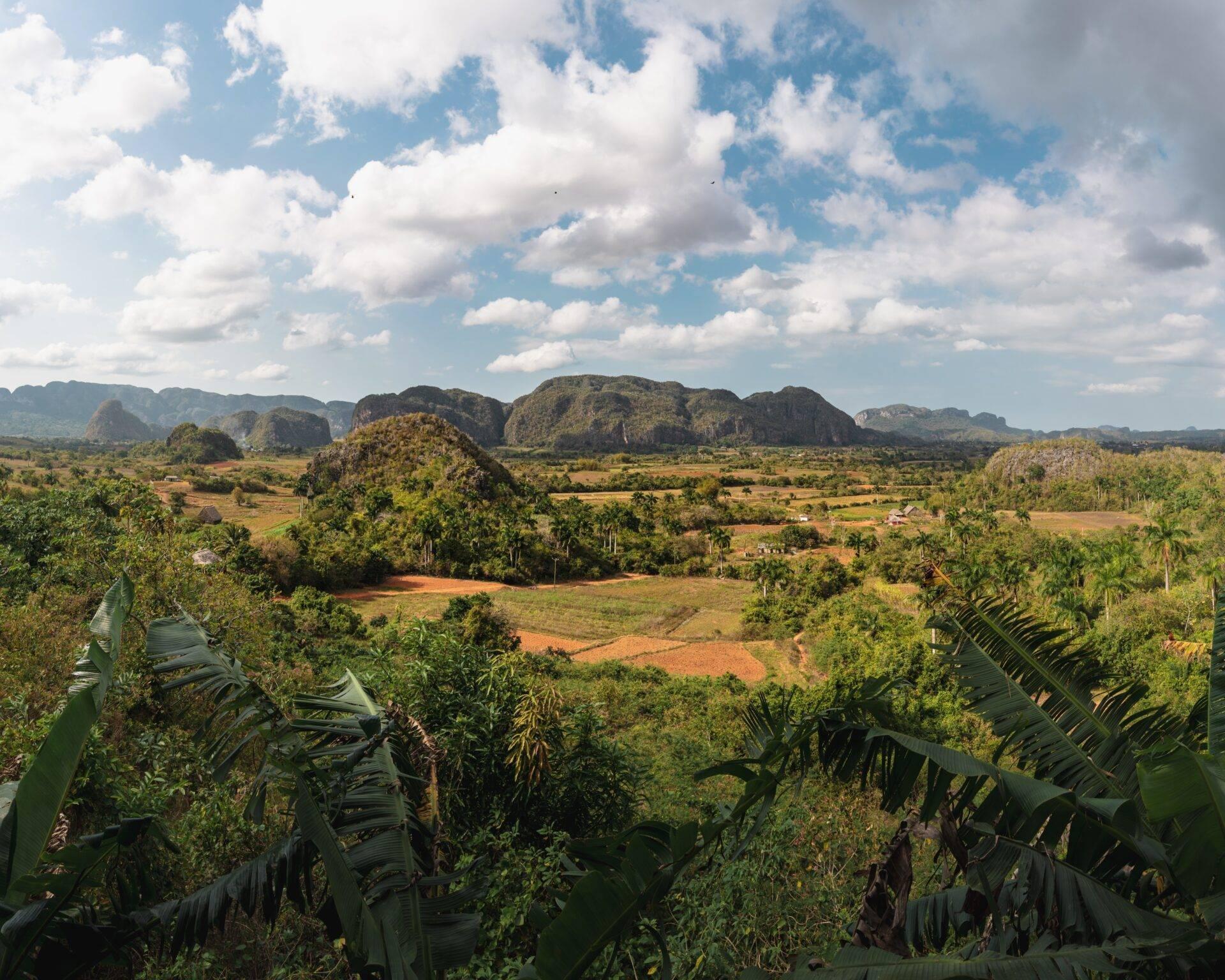 Valle tropicale con mogotes calcarei, campi coltivati e vegetazione lussureggiante sotto un cielo nuvoloso