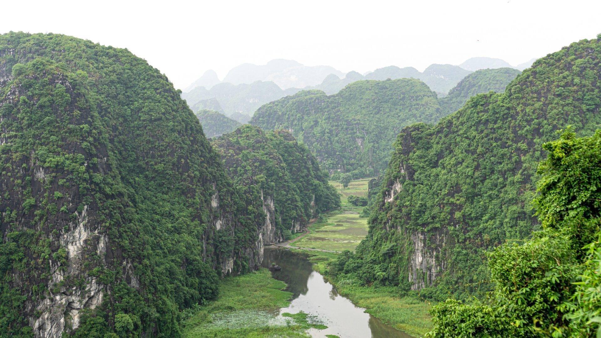 Valle kárstico con acantilados calcáreos cubiertos de vegetación y un río atravesando un paisaje montañoso verdoyant