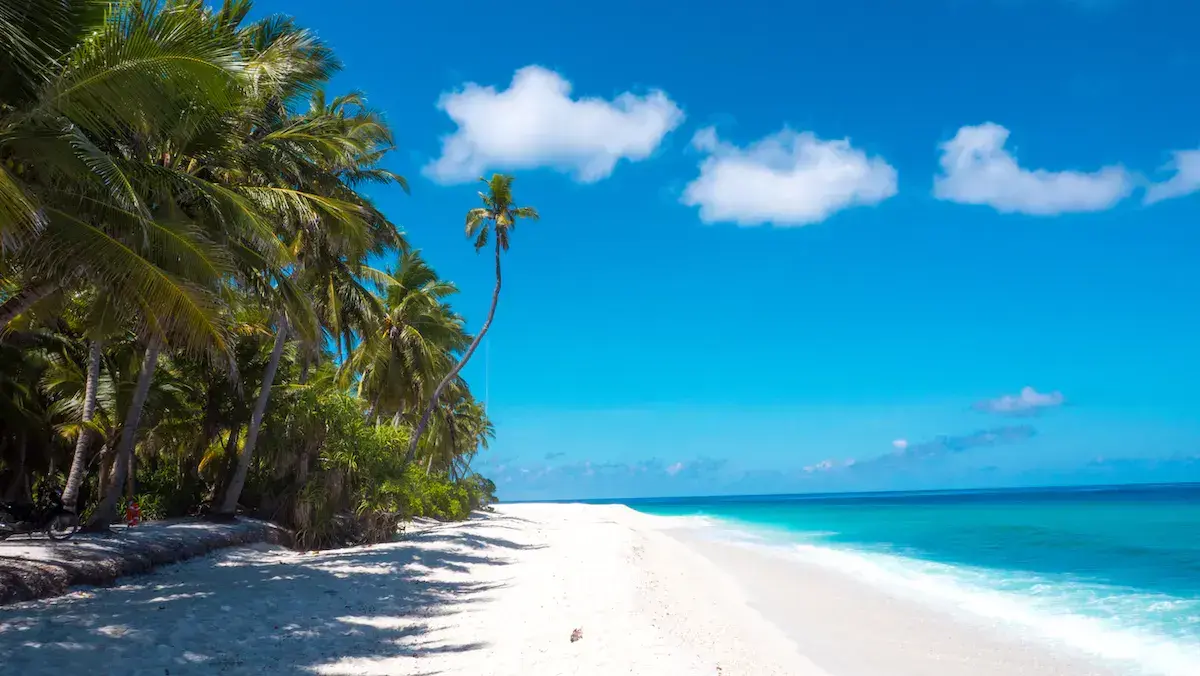 Playa tropical de arena blanca bordeada de palmeras con un mar turquesa y un cielo azul despejado