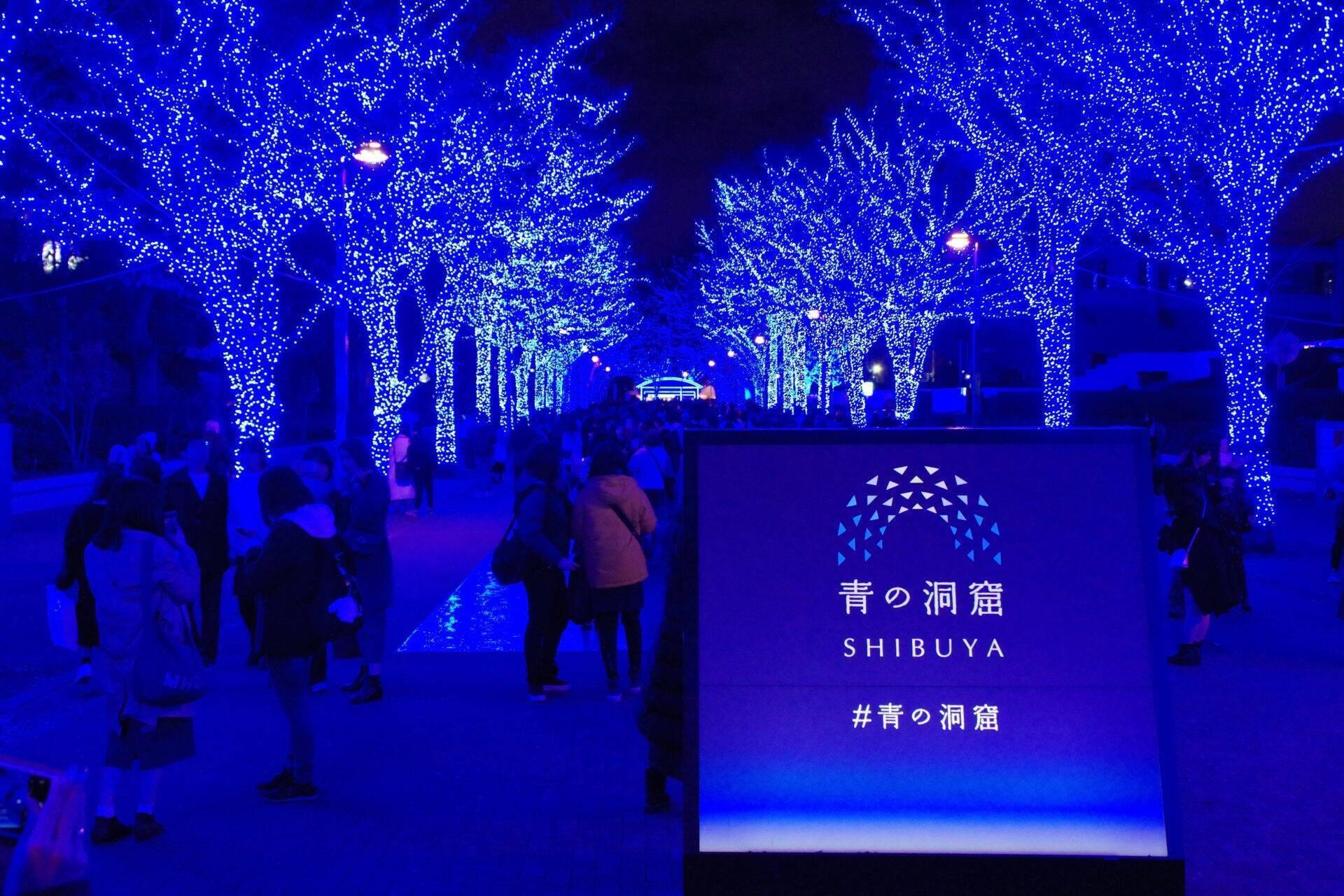 Avenida iluminada con miles de pequeñas luces azules y visitantes caminando bajo árboles decorados, en Shibuya