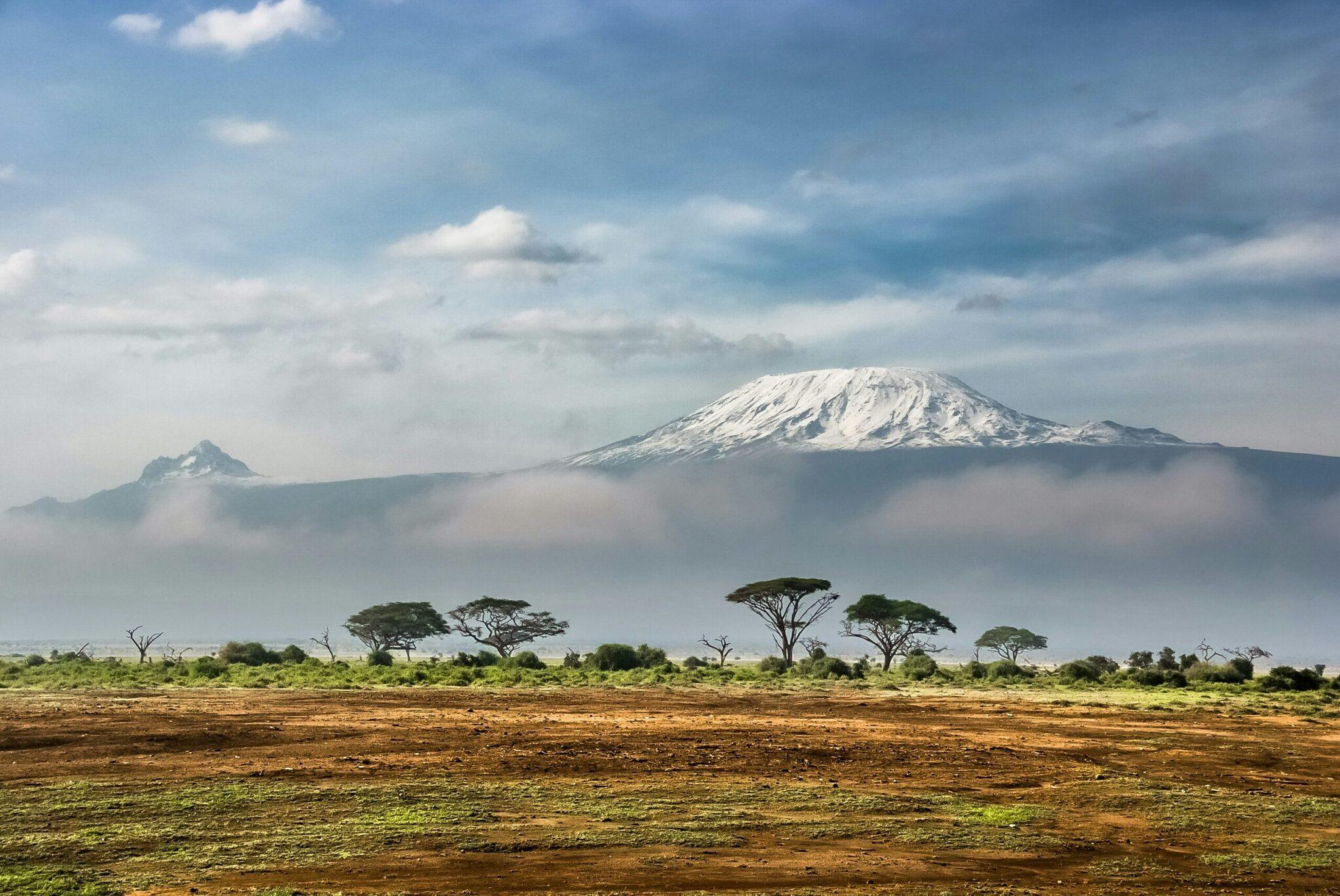Vista panoramica di un vulcano innevato che domina una savana con acacie e nebbia mattutina