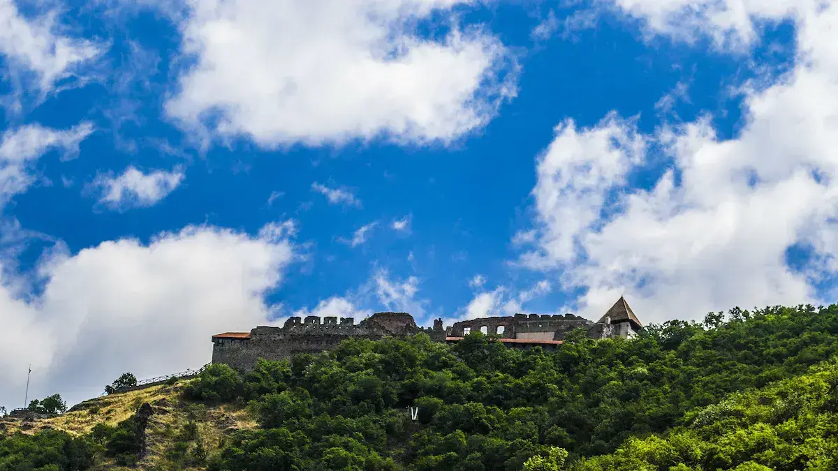 Un castillo medieval fortificado sobre un bosque denso bajo un cielo azul con nubes