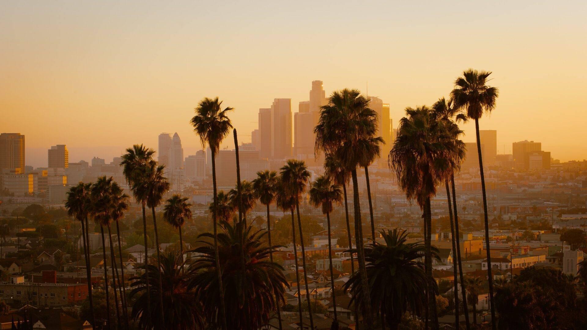 Skyline einer amerikanischen Großstadt beim Sonnenuntergang, eingerahmt von Palmen im Vordergrund