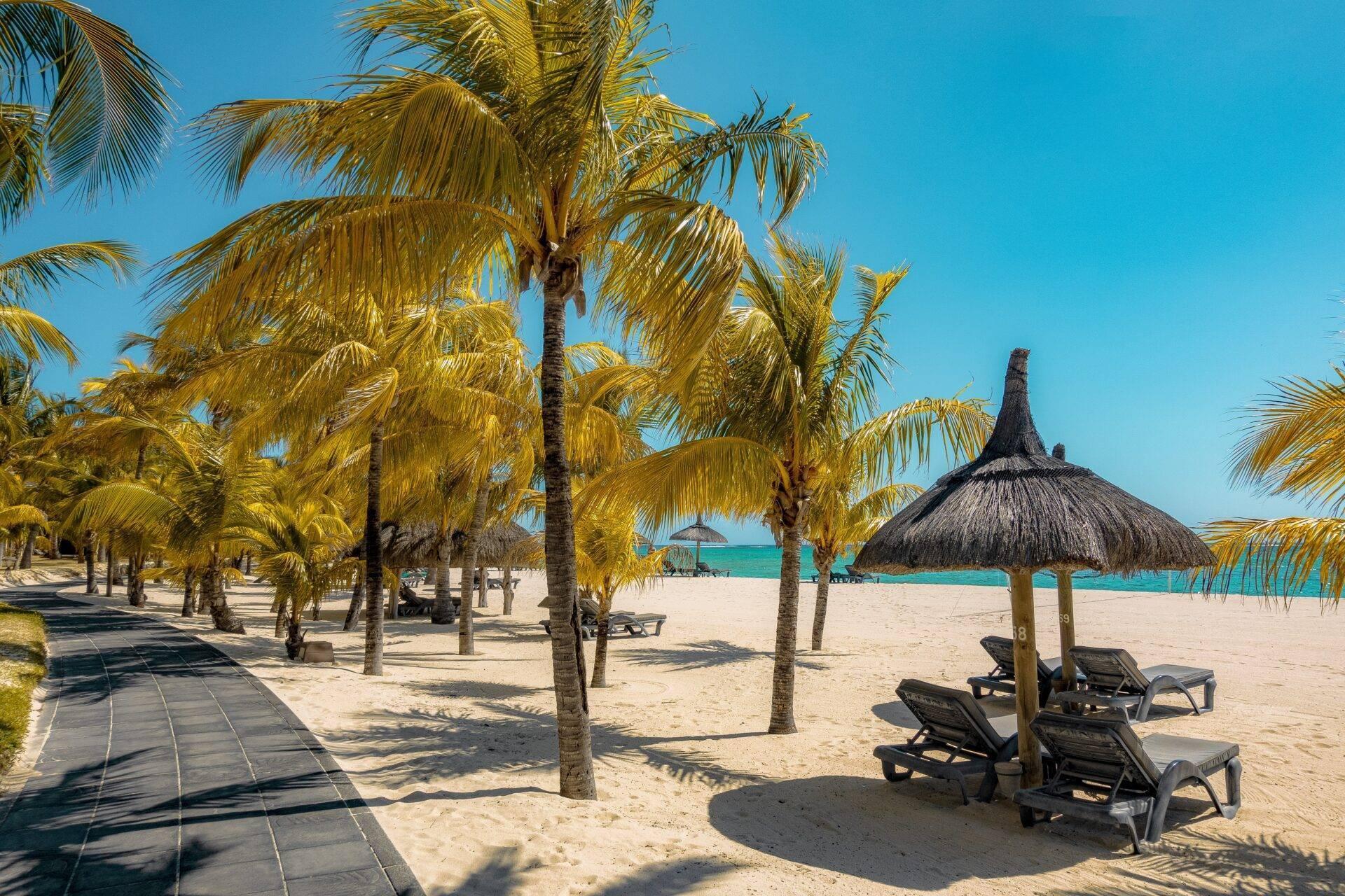 Playa tropical con palmeras, tumbonas, sombrilla de paja y laguna turquesa bajo un cielo azul despejado