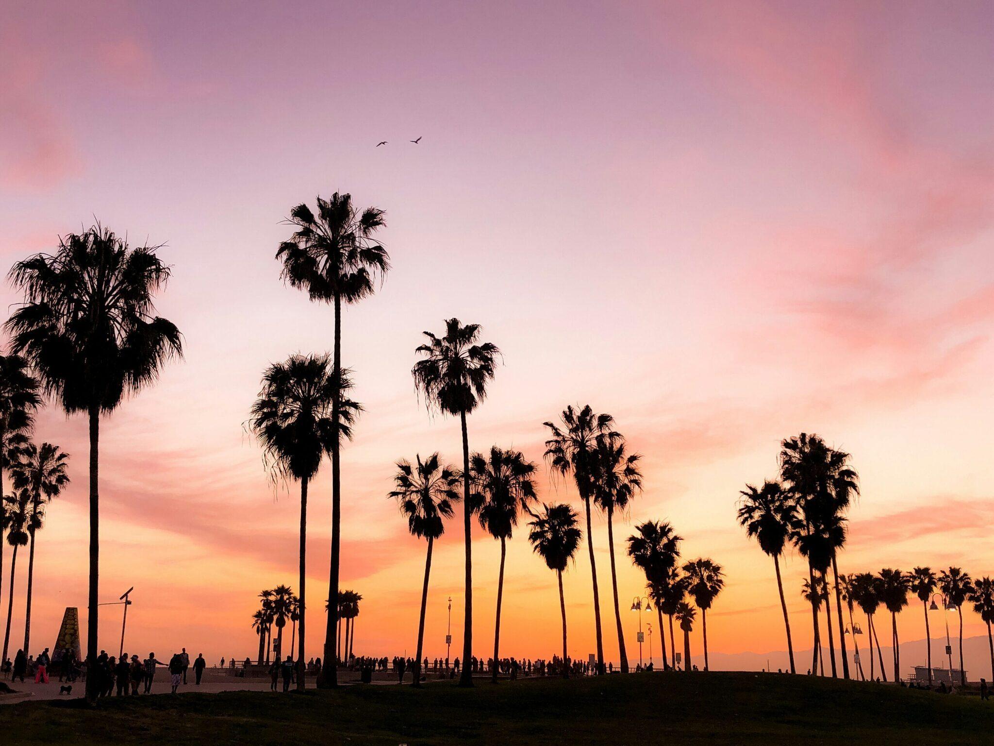 Atardecer en una playa con palmeras y siluetas de paseantes a orillas del océano